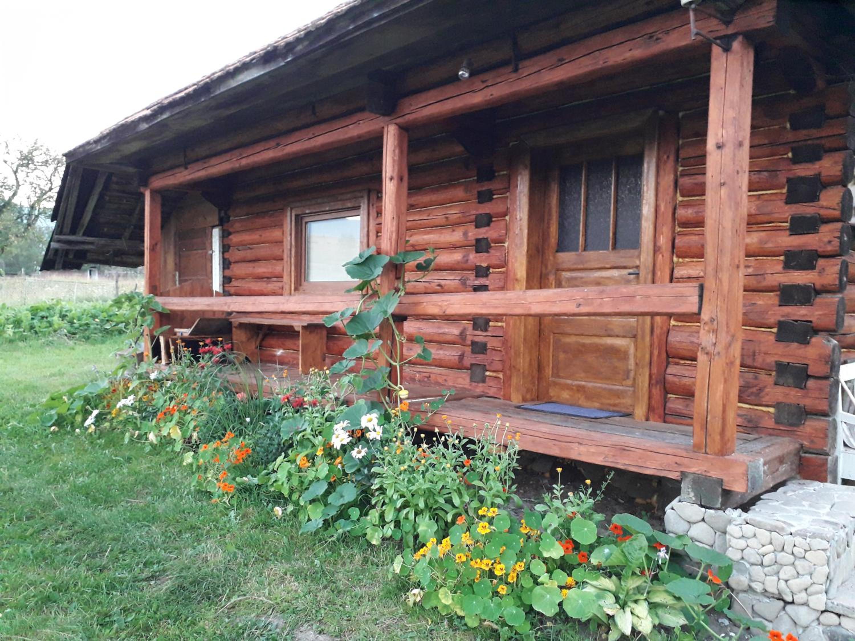 Photo 8