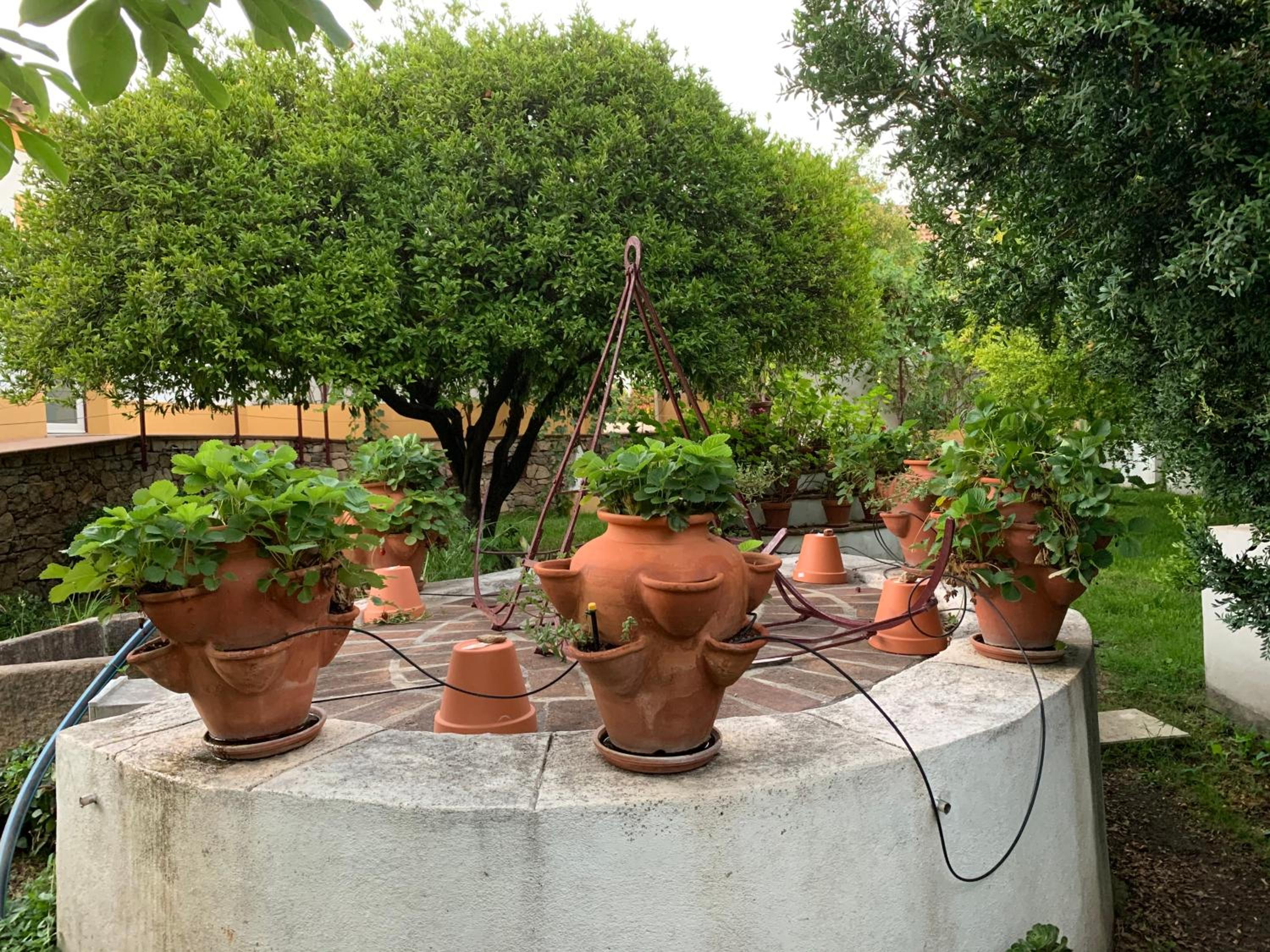 Casa do Peso