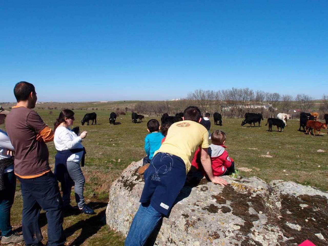 Agroturismo El Mirador de la Cigüeña