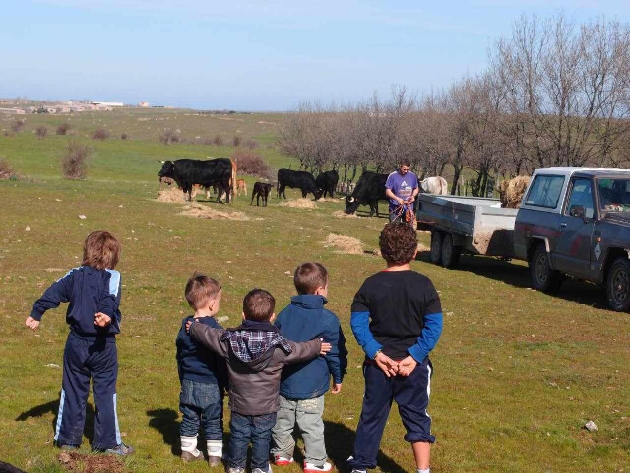 Agroturismo El Mirador de la Cigüeña
