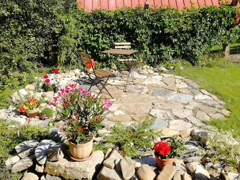 Photo 6