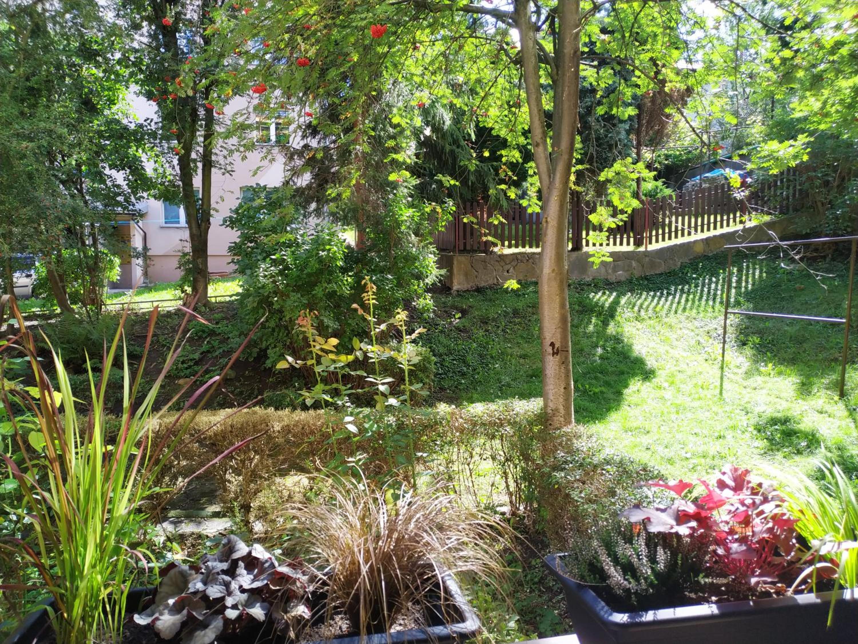 Apartament Skrytka, photo 21