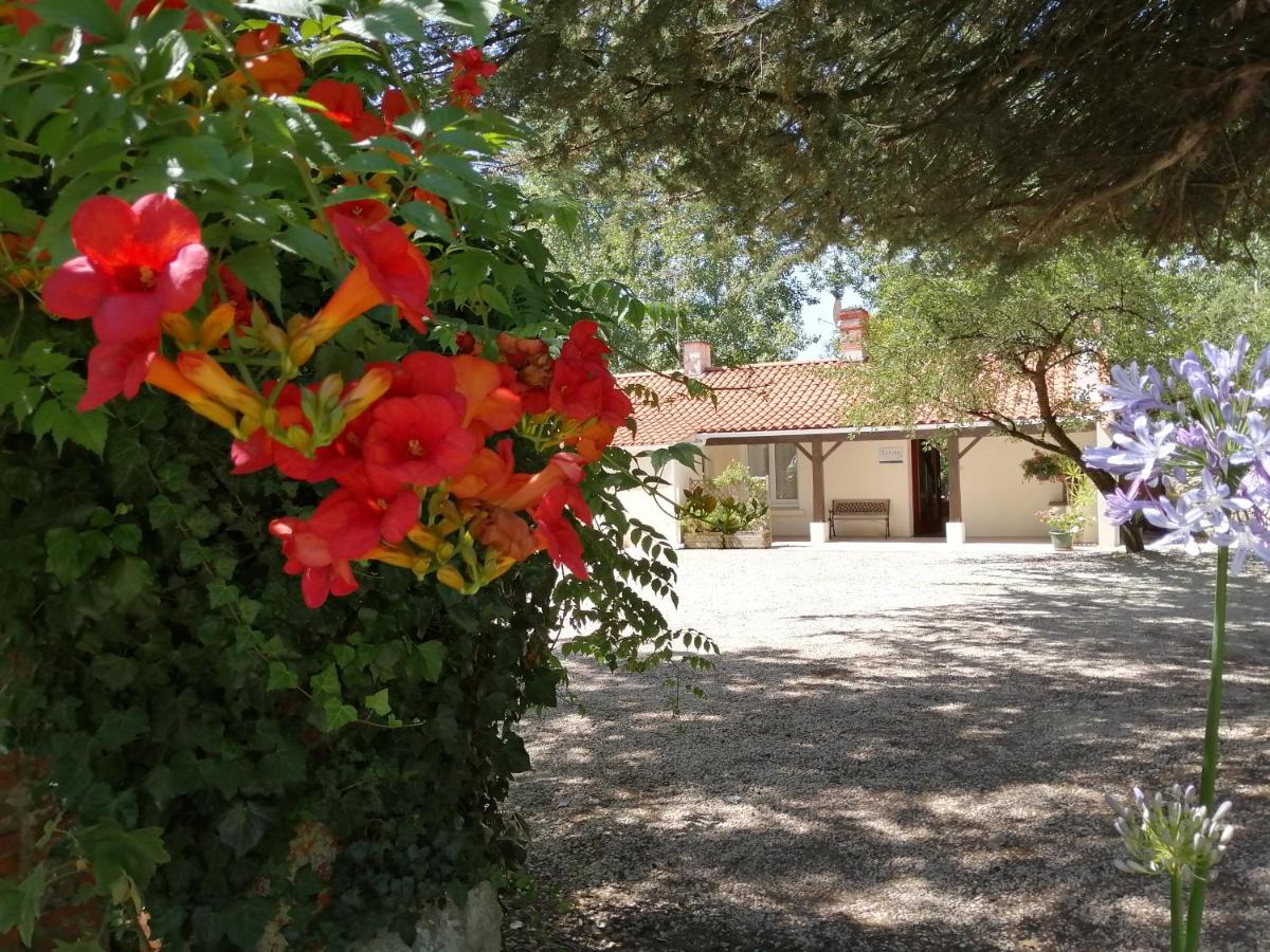 Camping La Loire Fleurie view 5