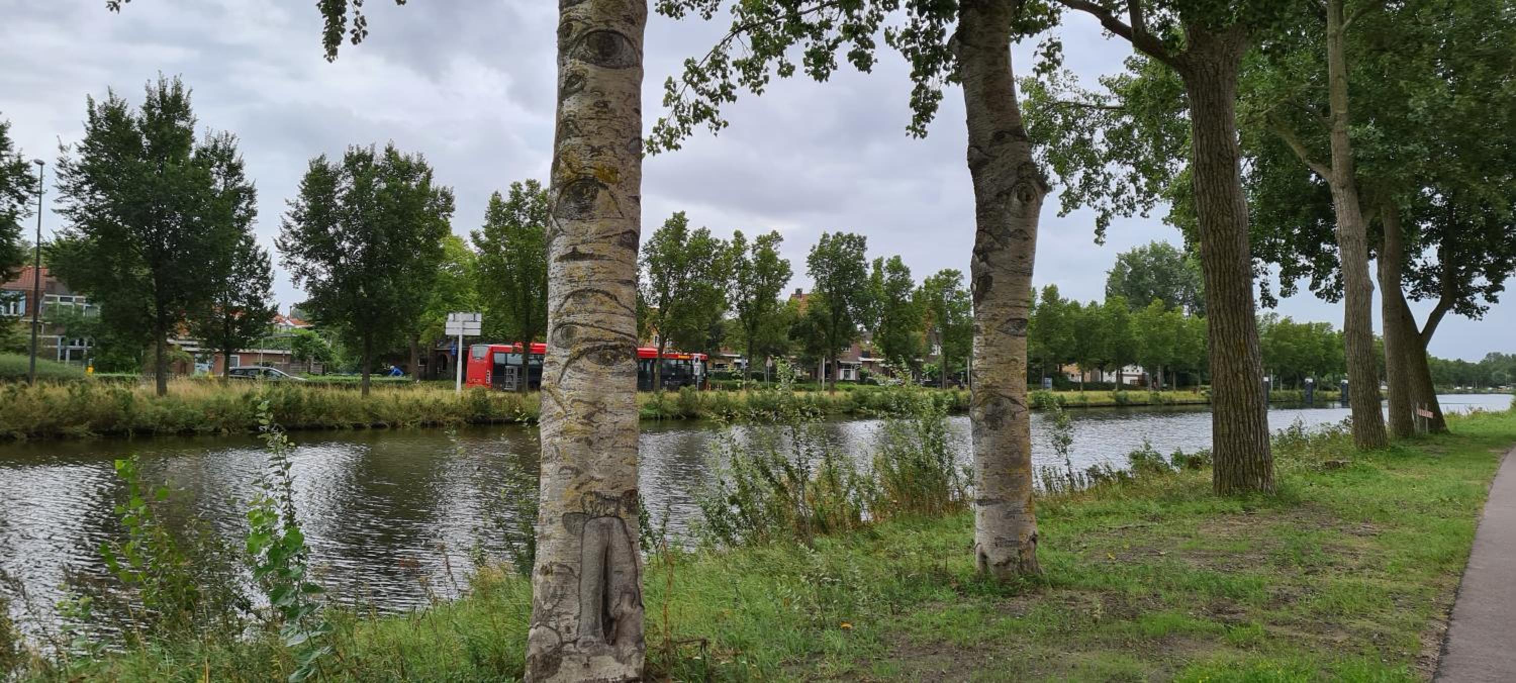Photo 44