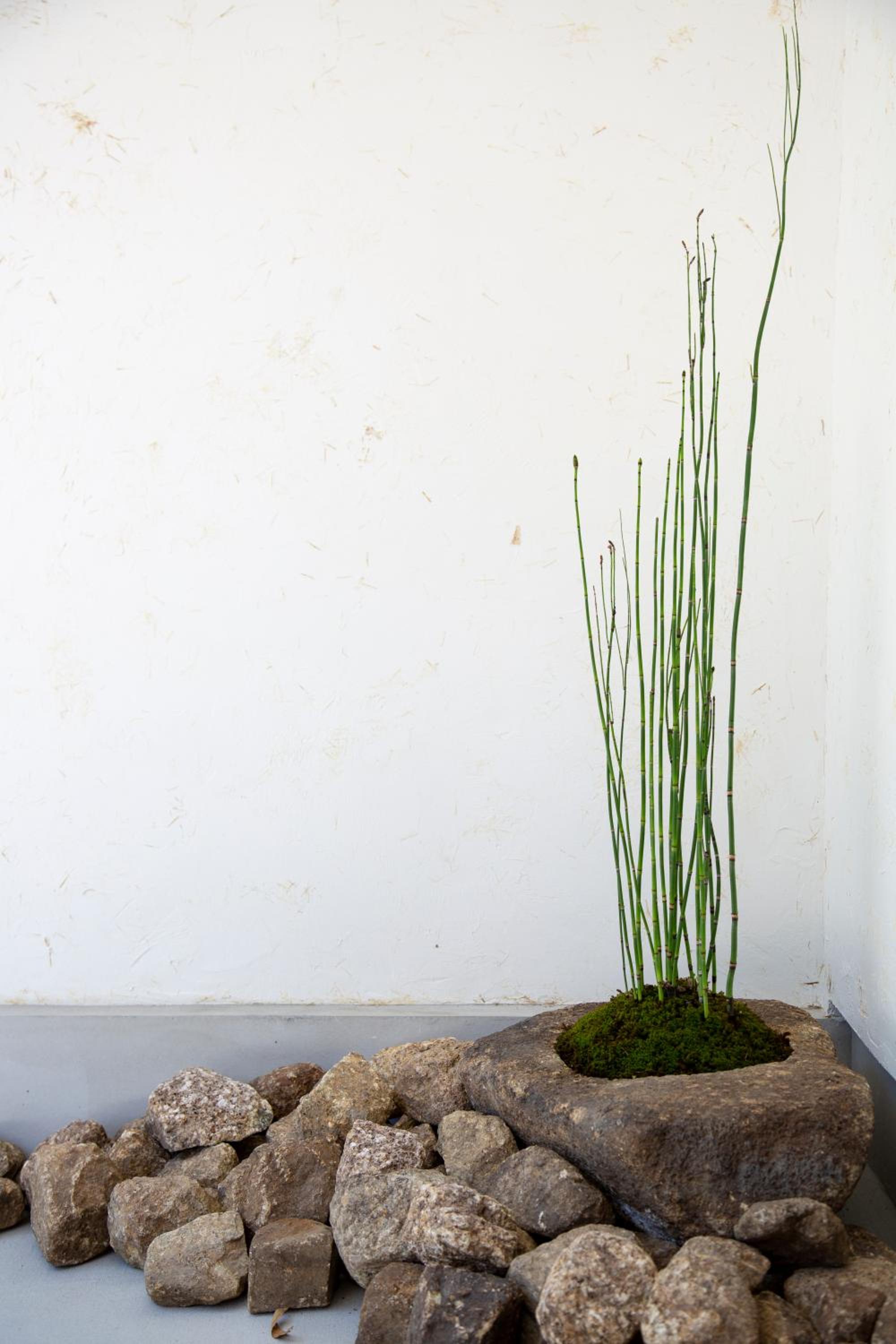 The RYOKAN O