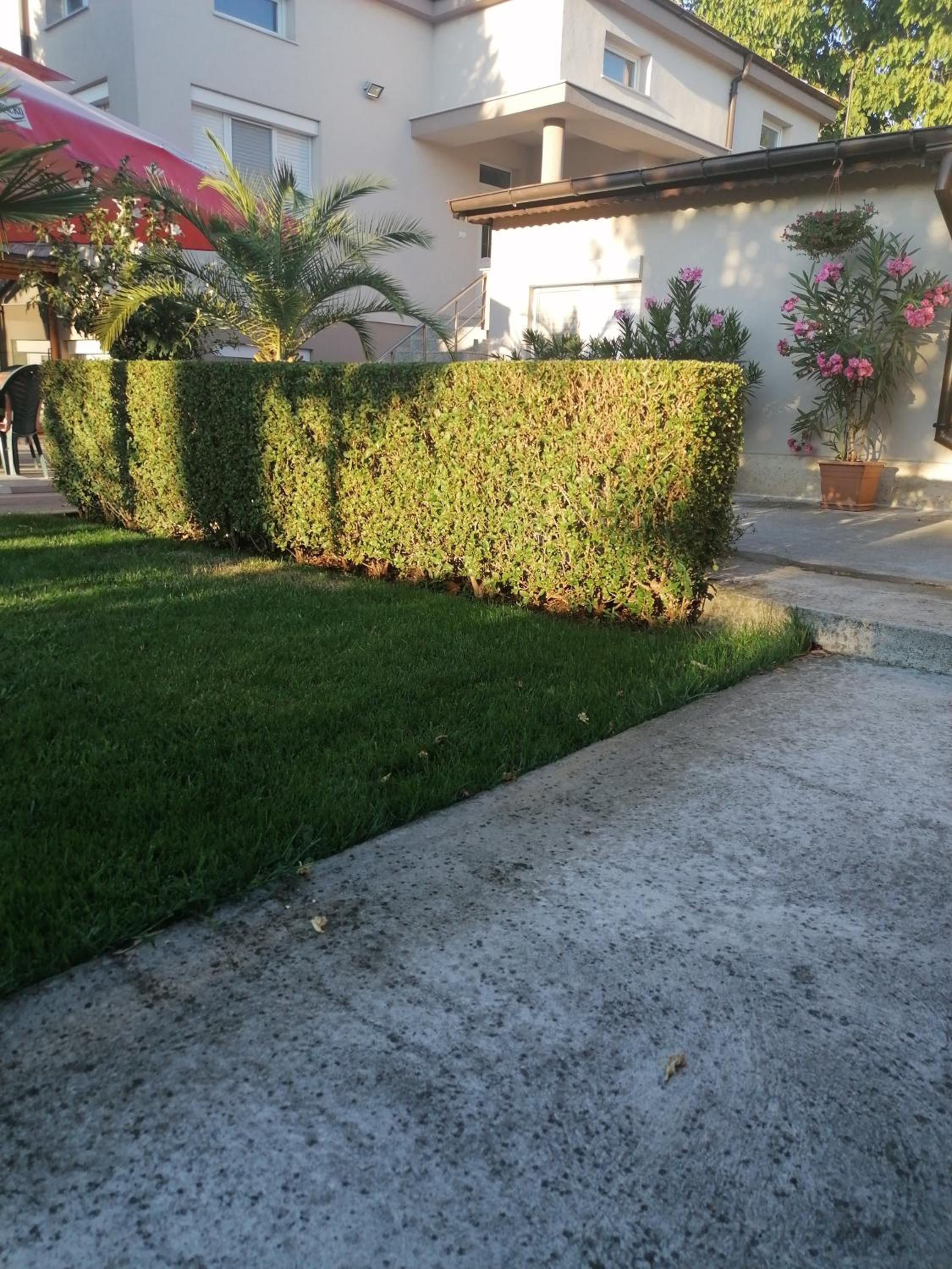 Villa Ros Guest House