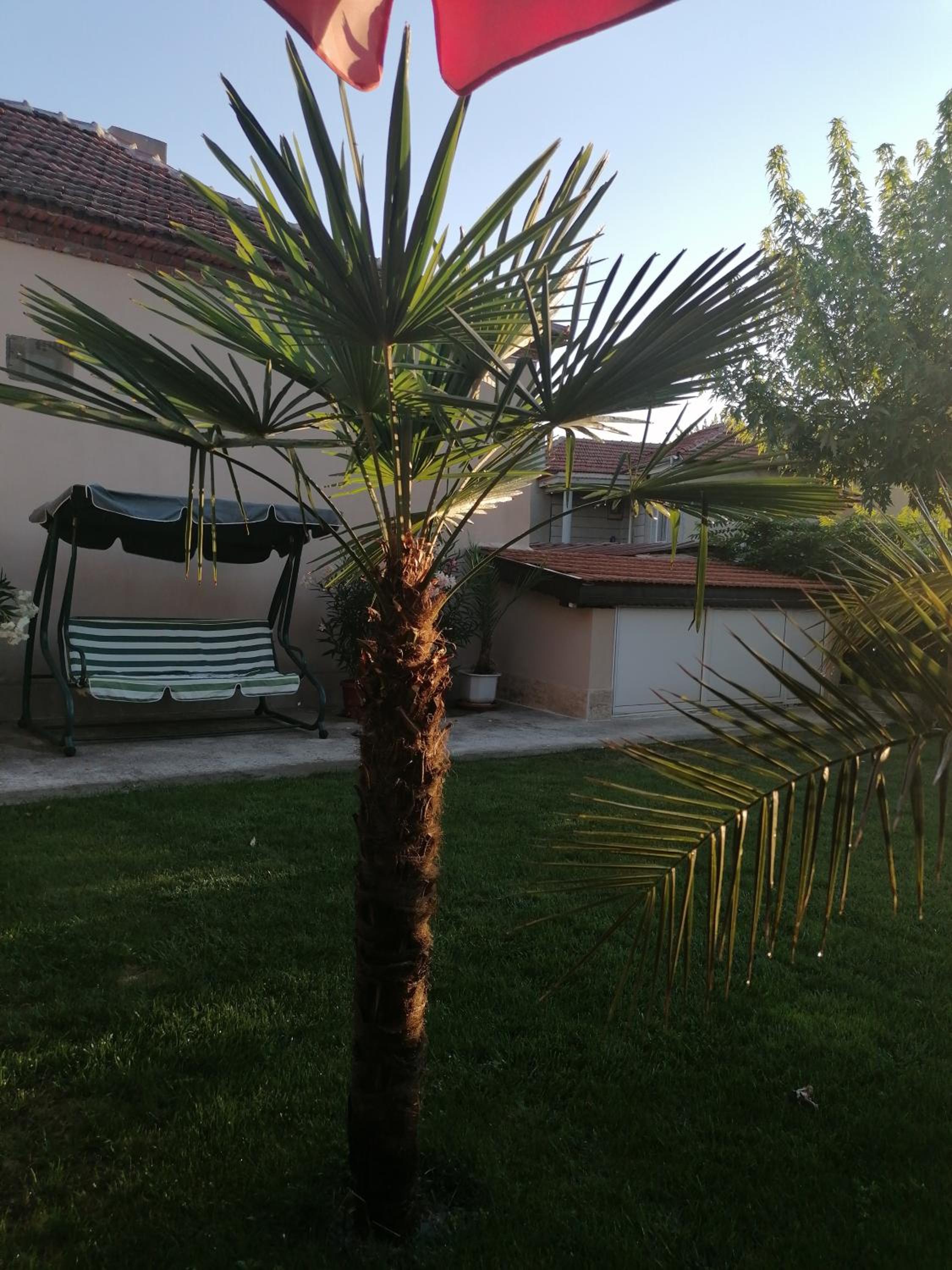 Villa Ros Guest House