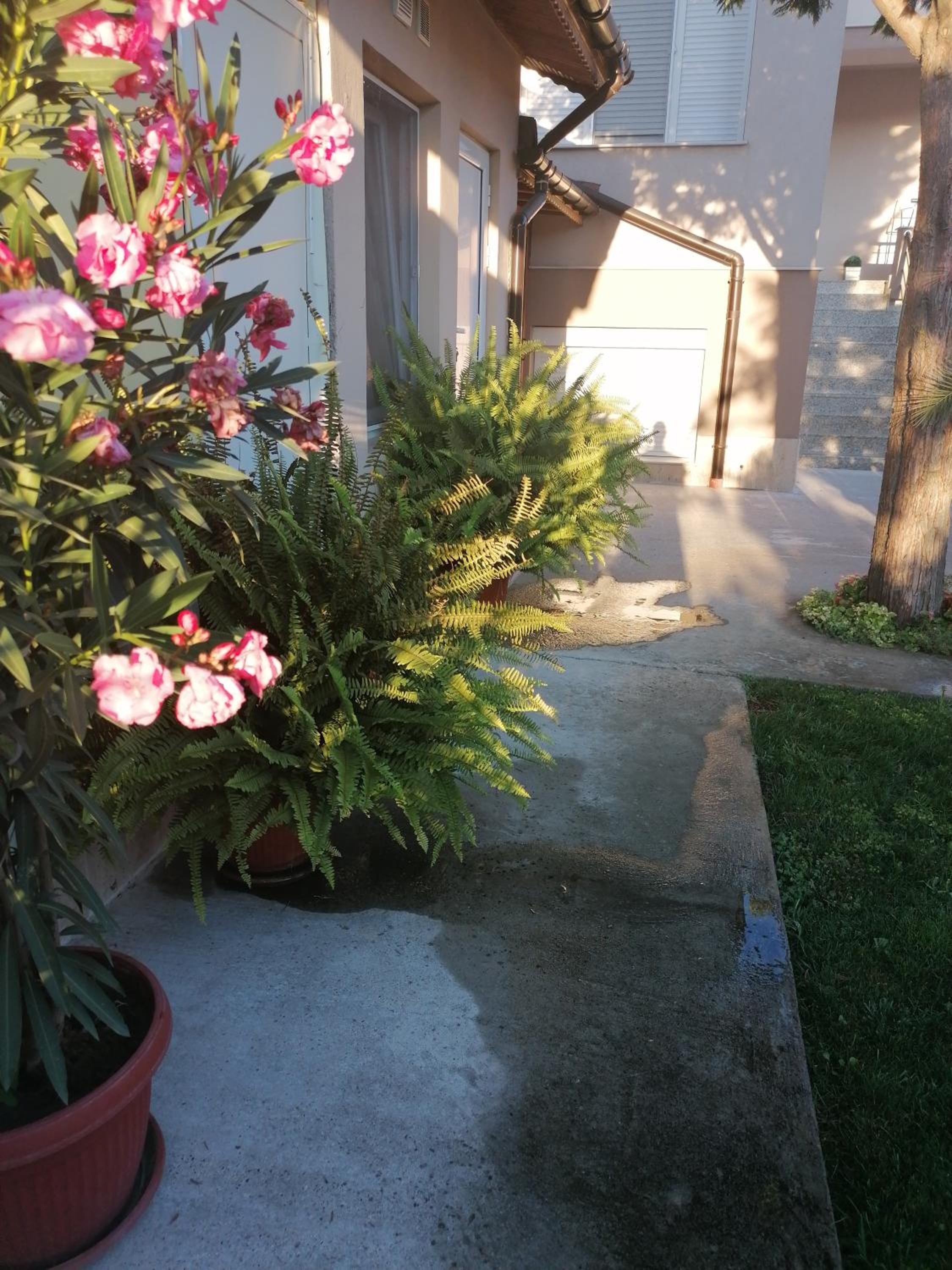 Villa Ros Guest House