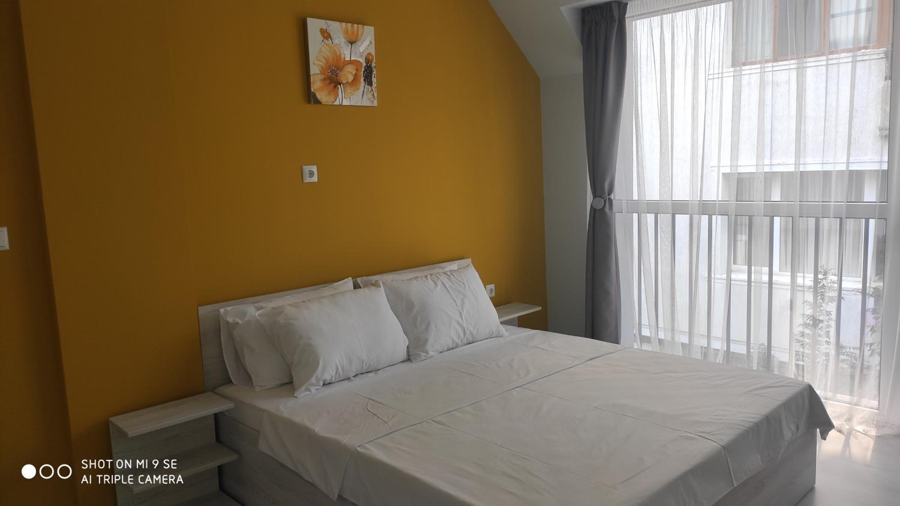 Apartments Siyana Varna-free parking