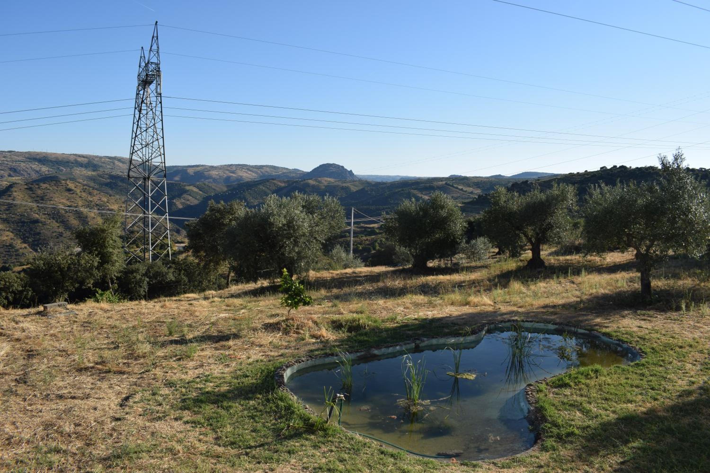 Douro Natura