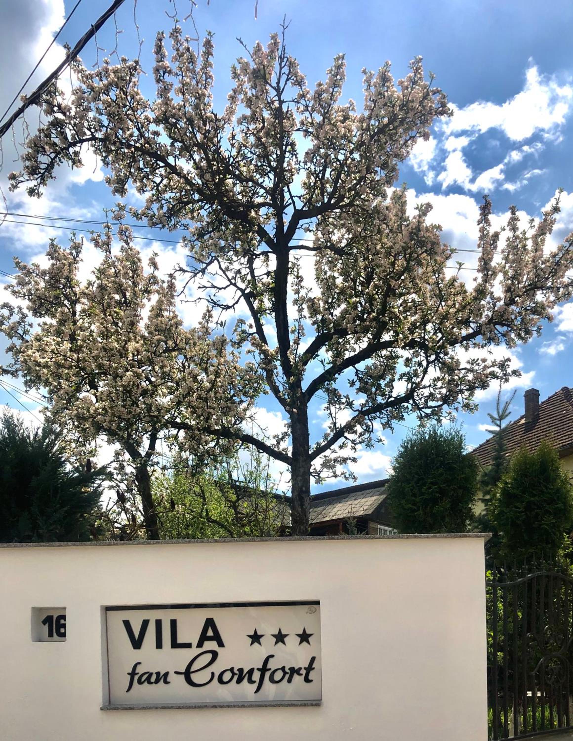 Vila FAN Confort view 4