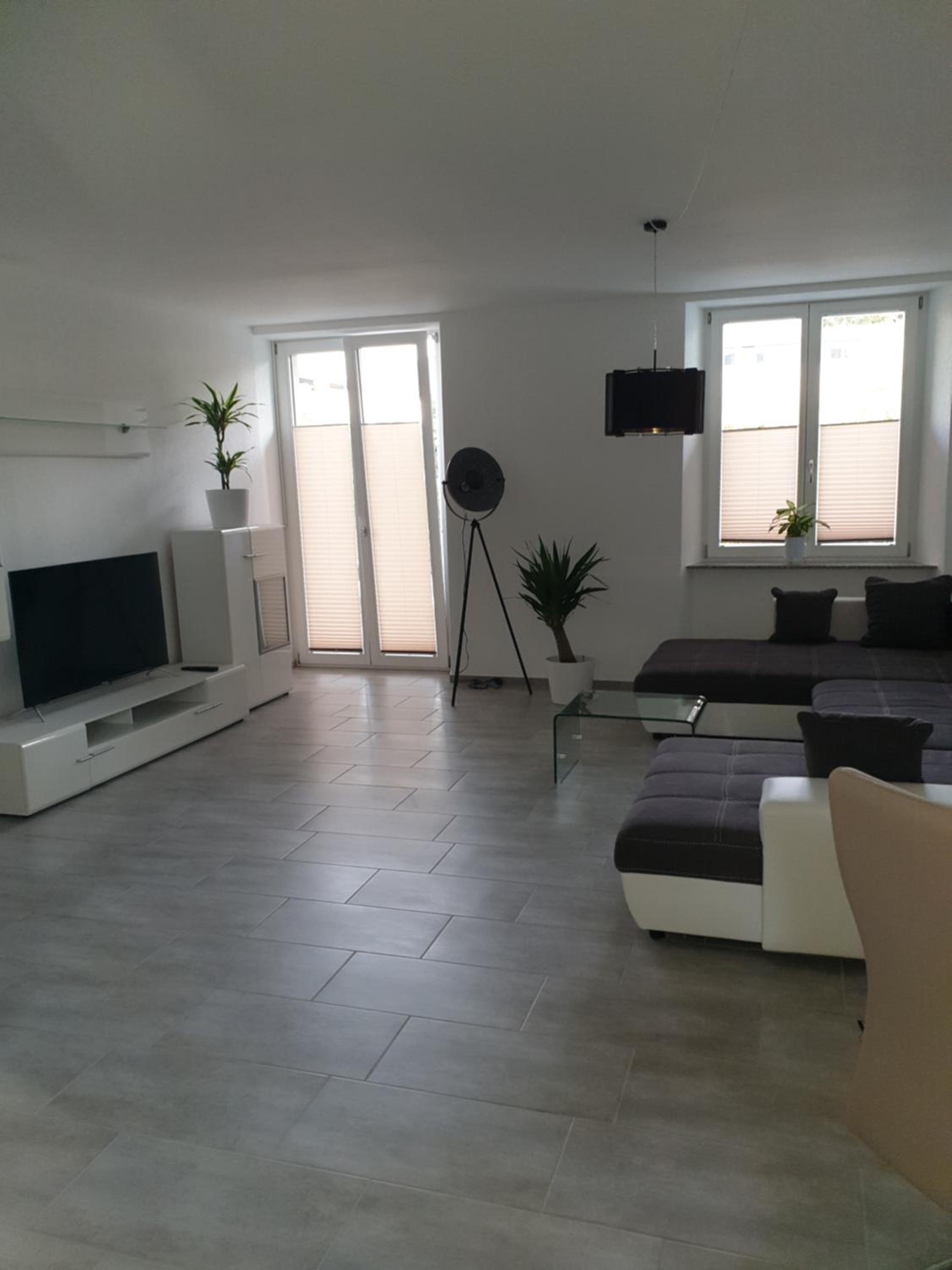 Business Apartment Turgi view 2