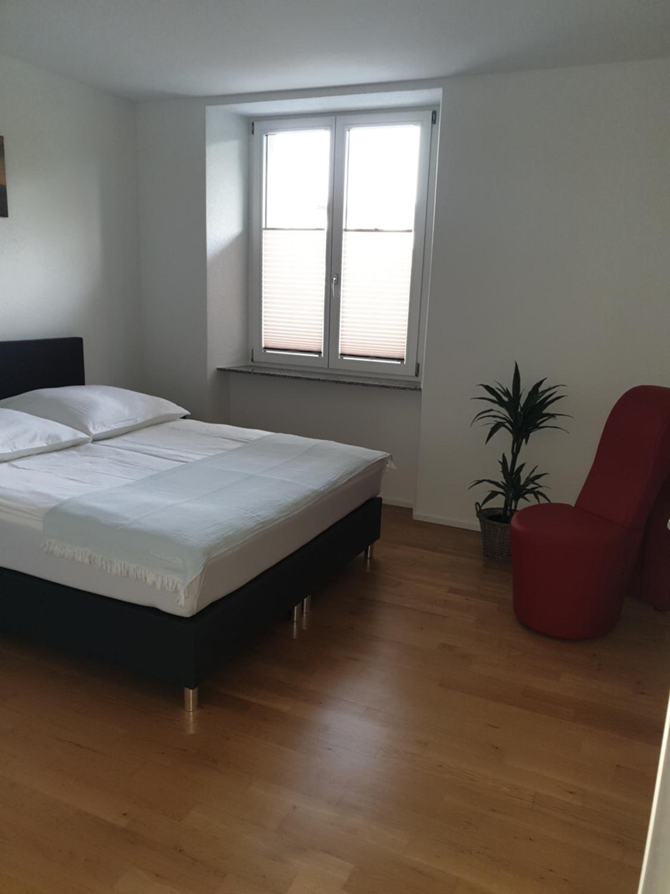 Business Apartment Turgi view 5