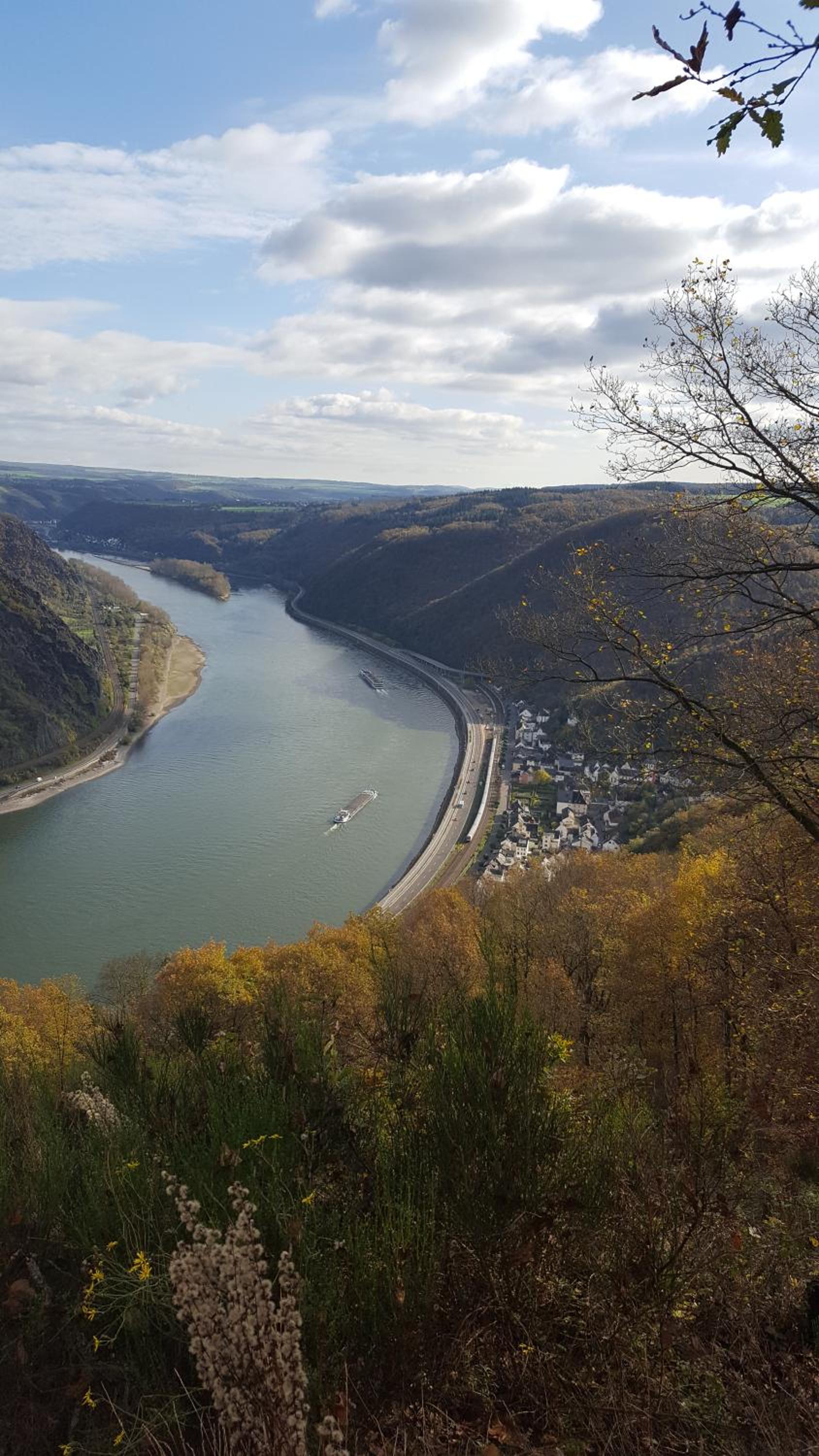 Rheingold
