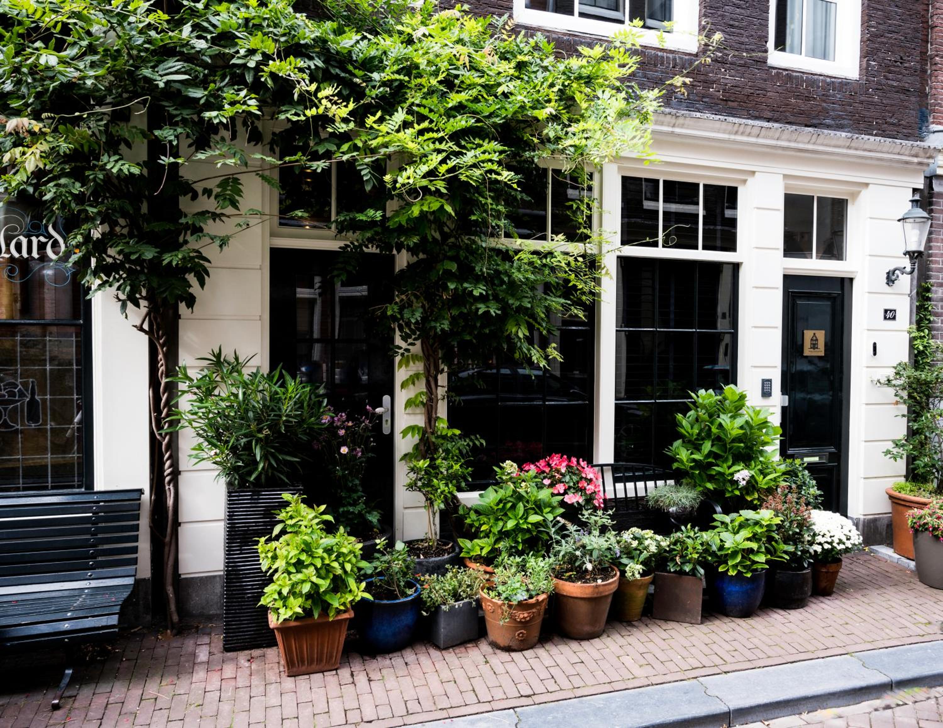 The Blossom House Amsterdam