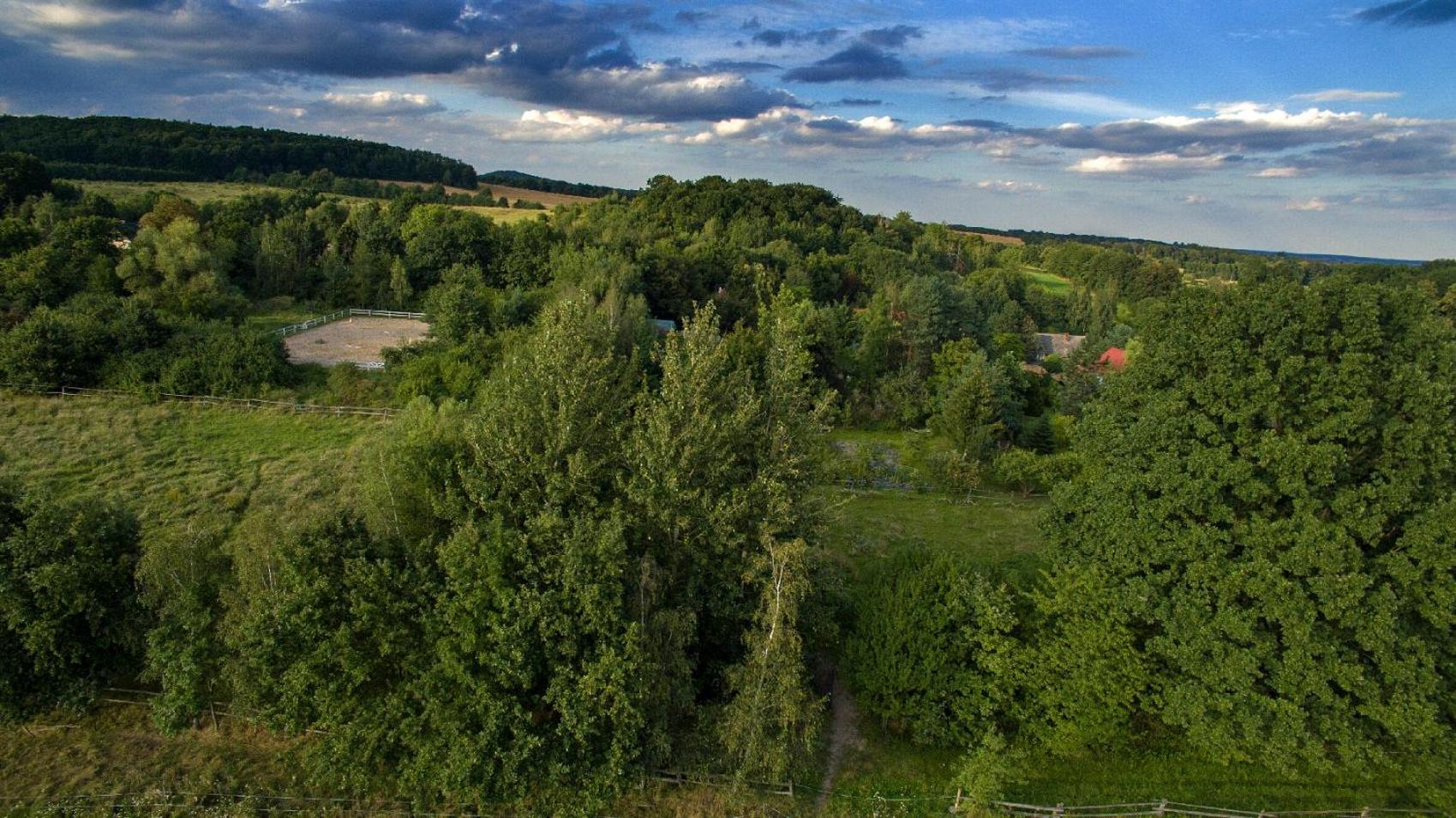 Ekoturystyka Nowina view 3