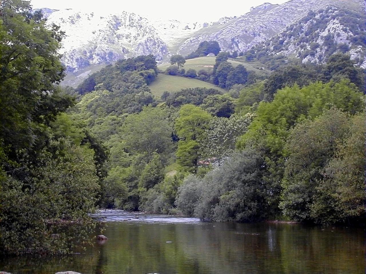 Apto Rio Asón, desconexión total con Piscina y vistas espectaculares view 5