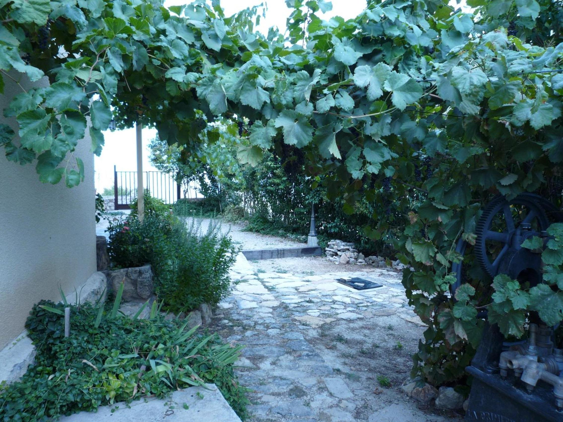Photo 29