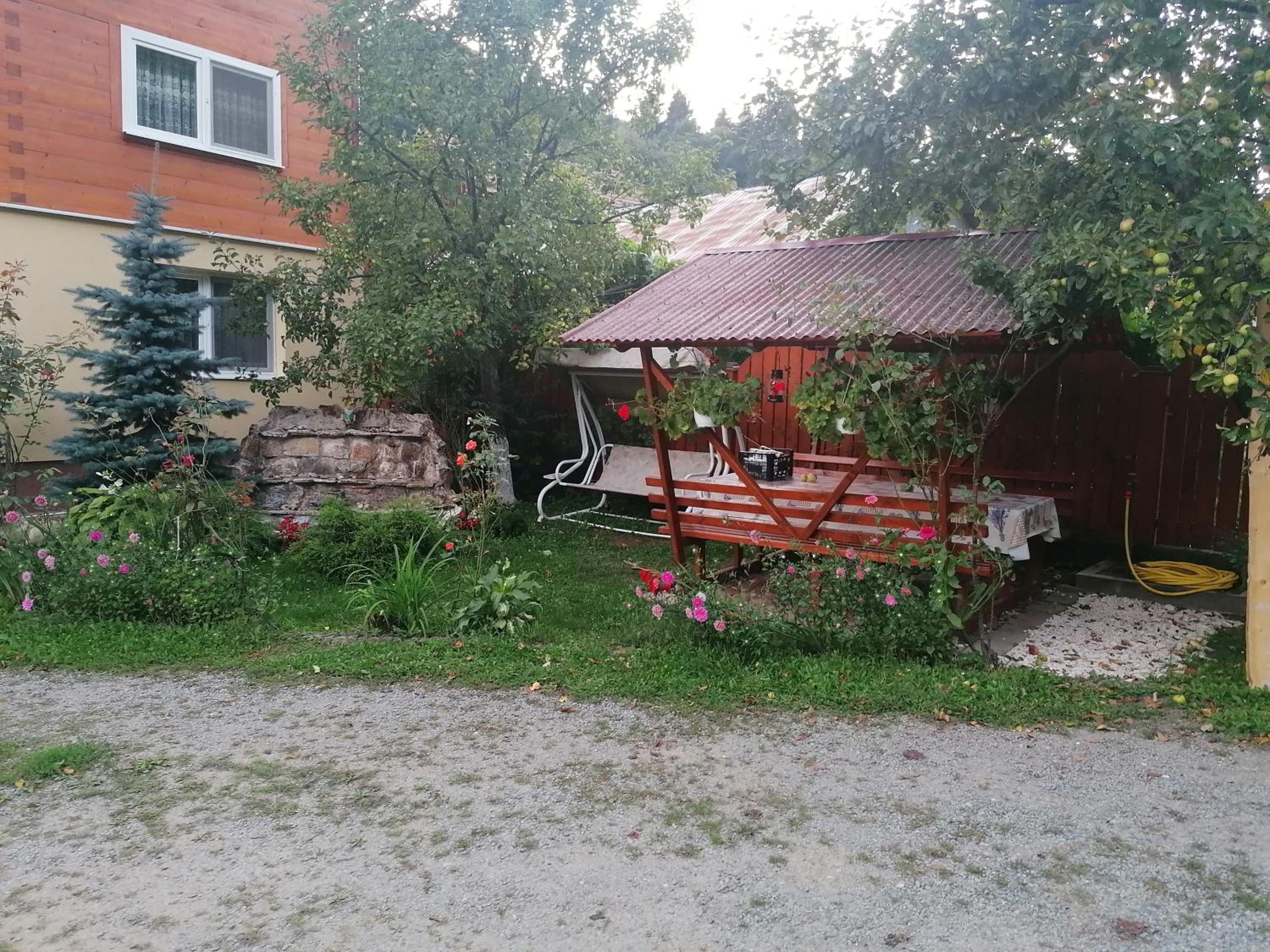 Photo 25