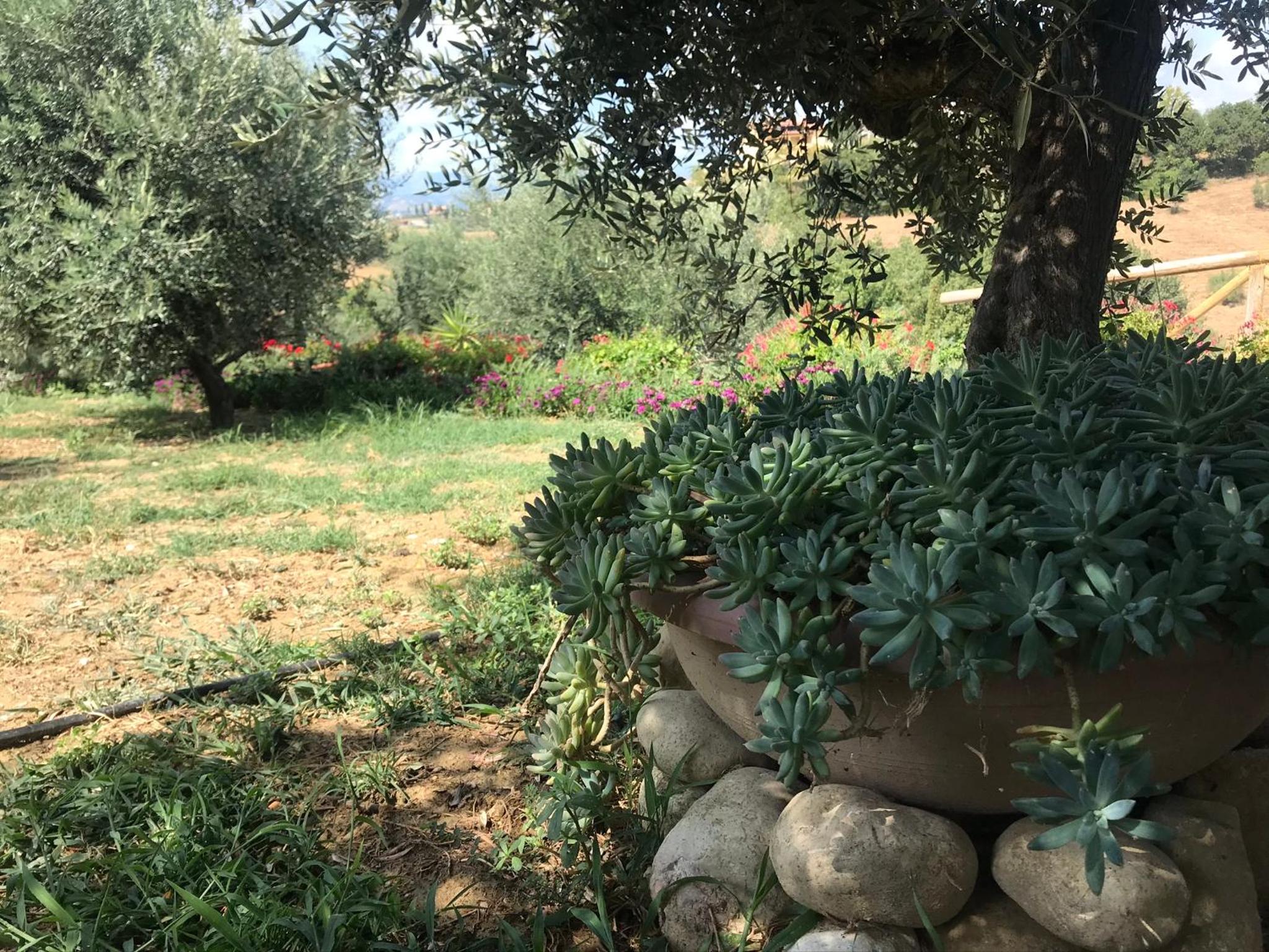 Casale Vincenzo Country House