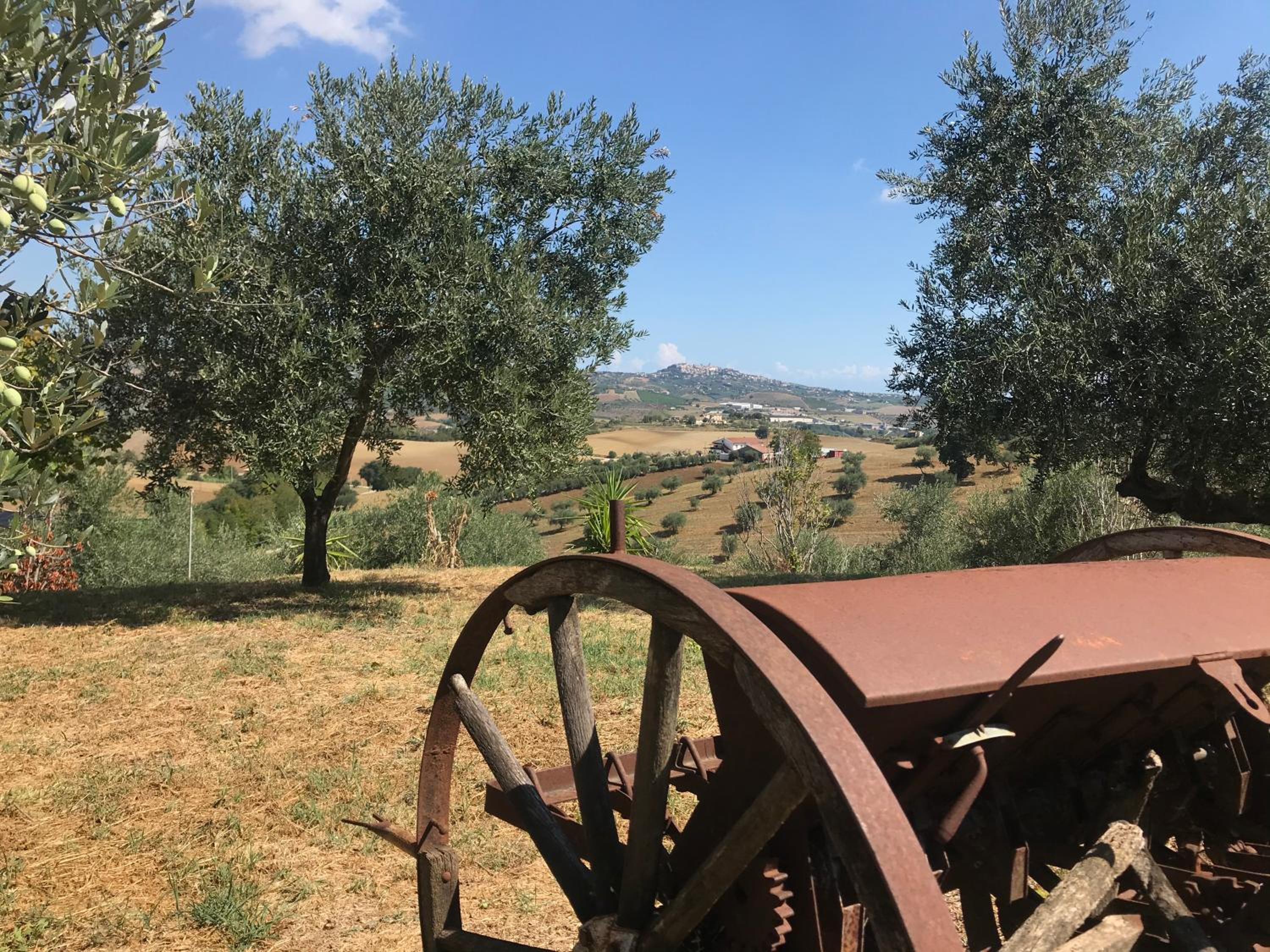 Casale Vincenzo Country House