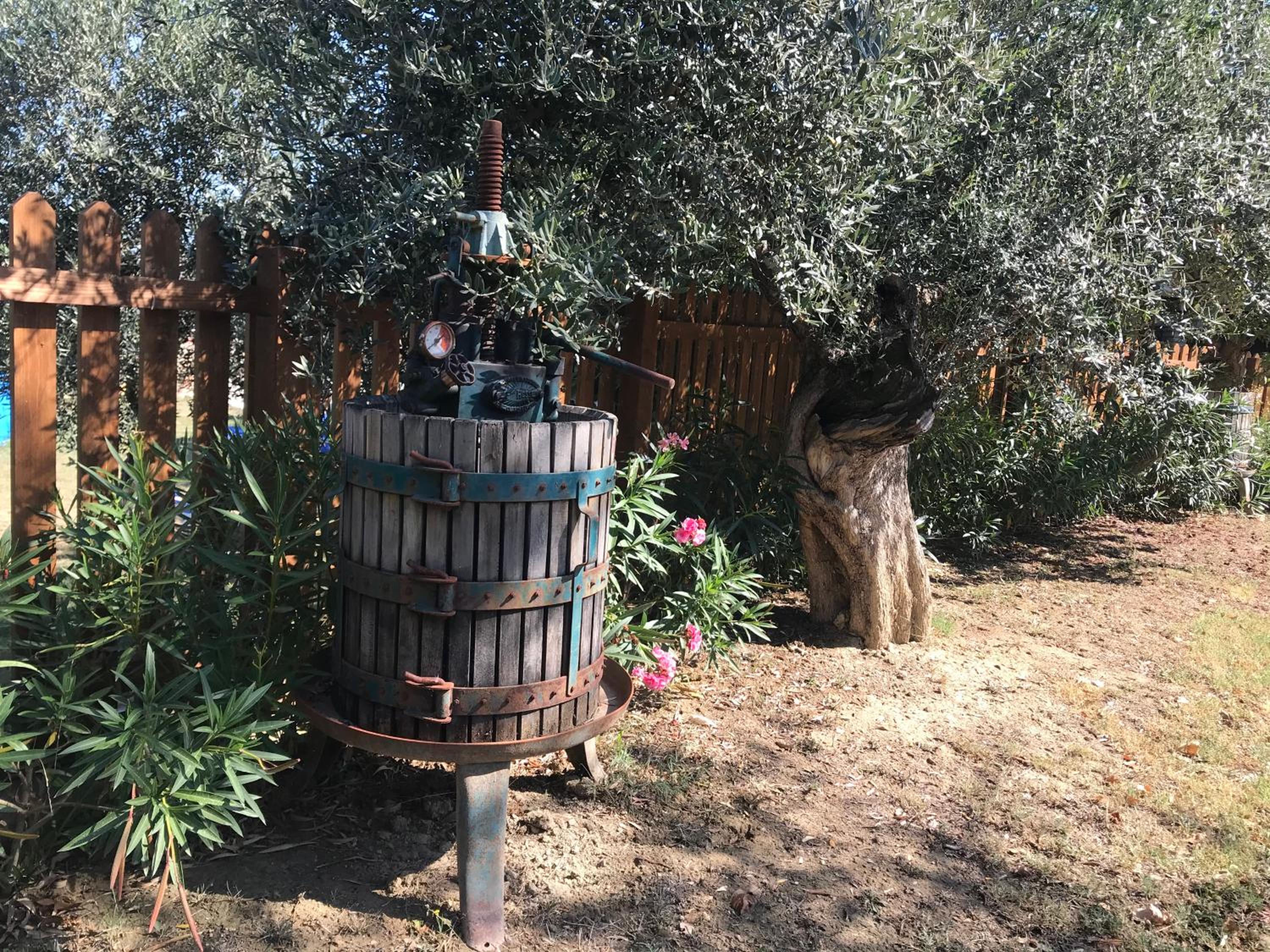 Casale Vincenzo Country House