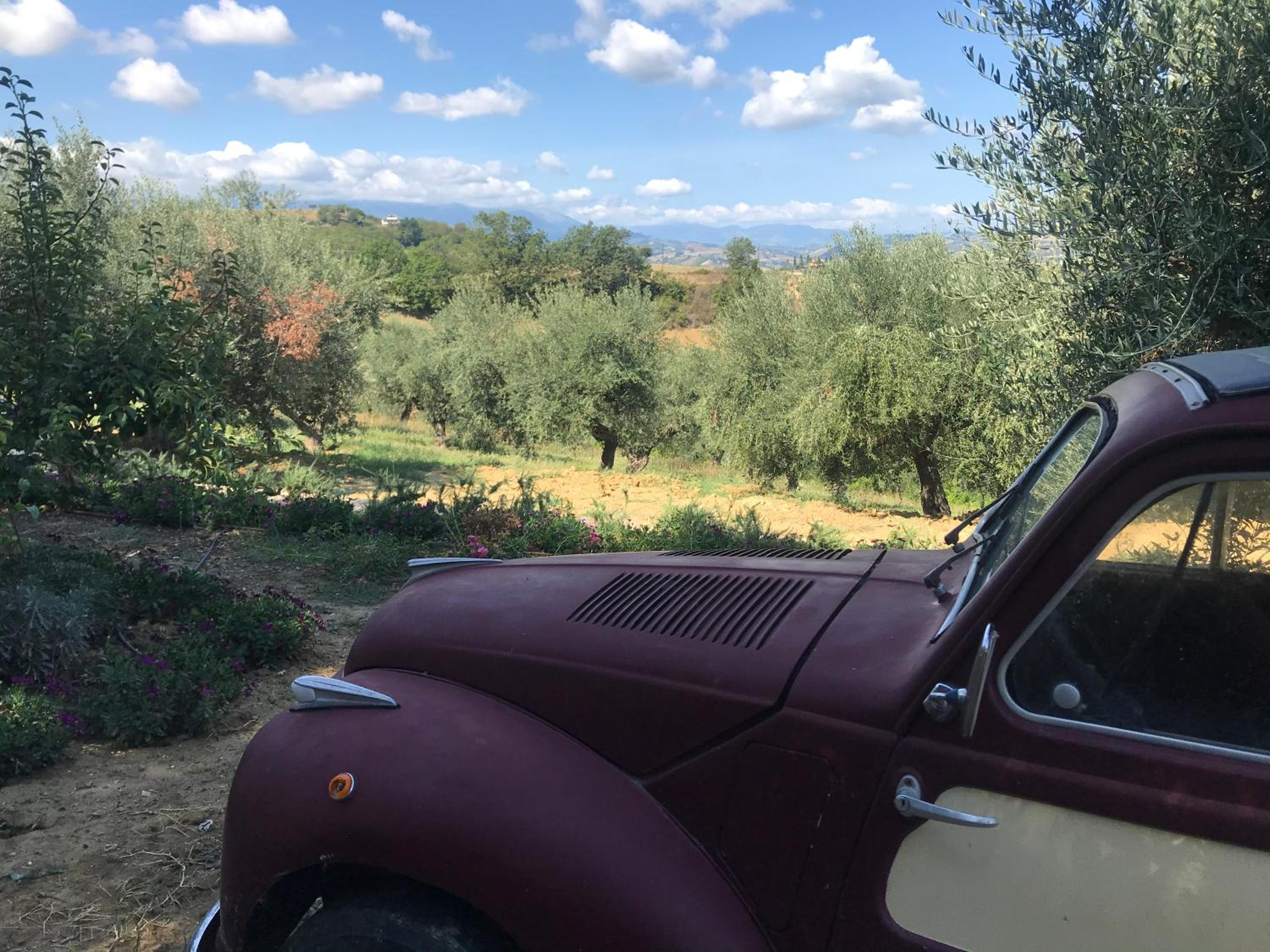 Casale Vincenzo Country House