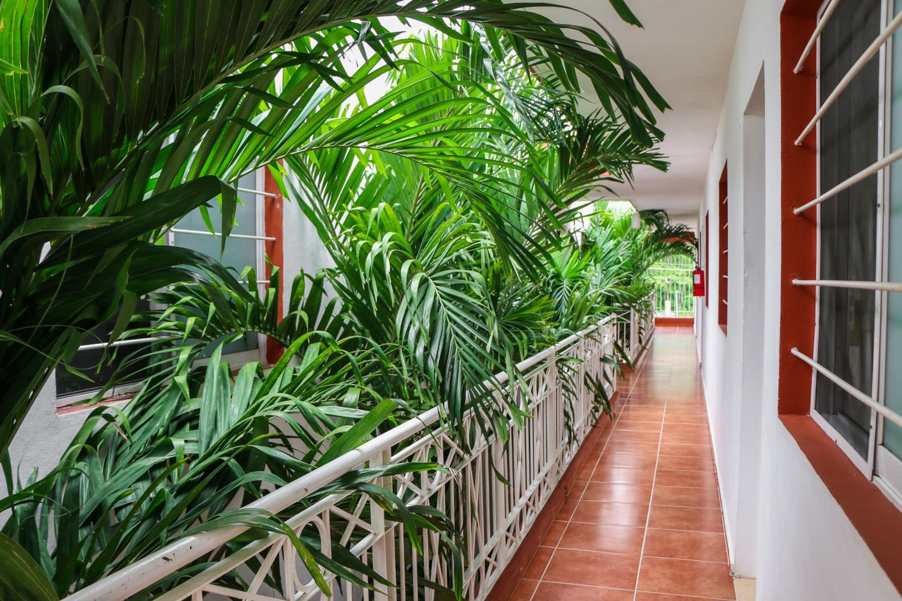 Gayser Apartamentos