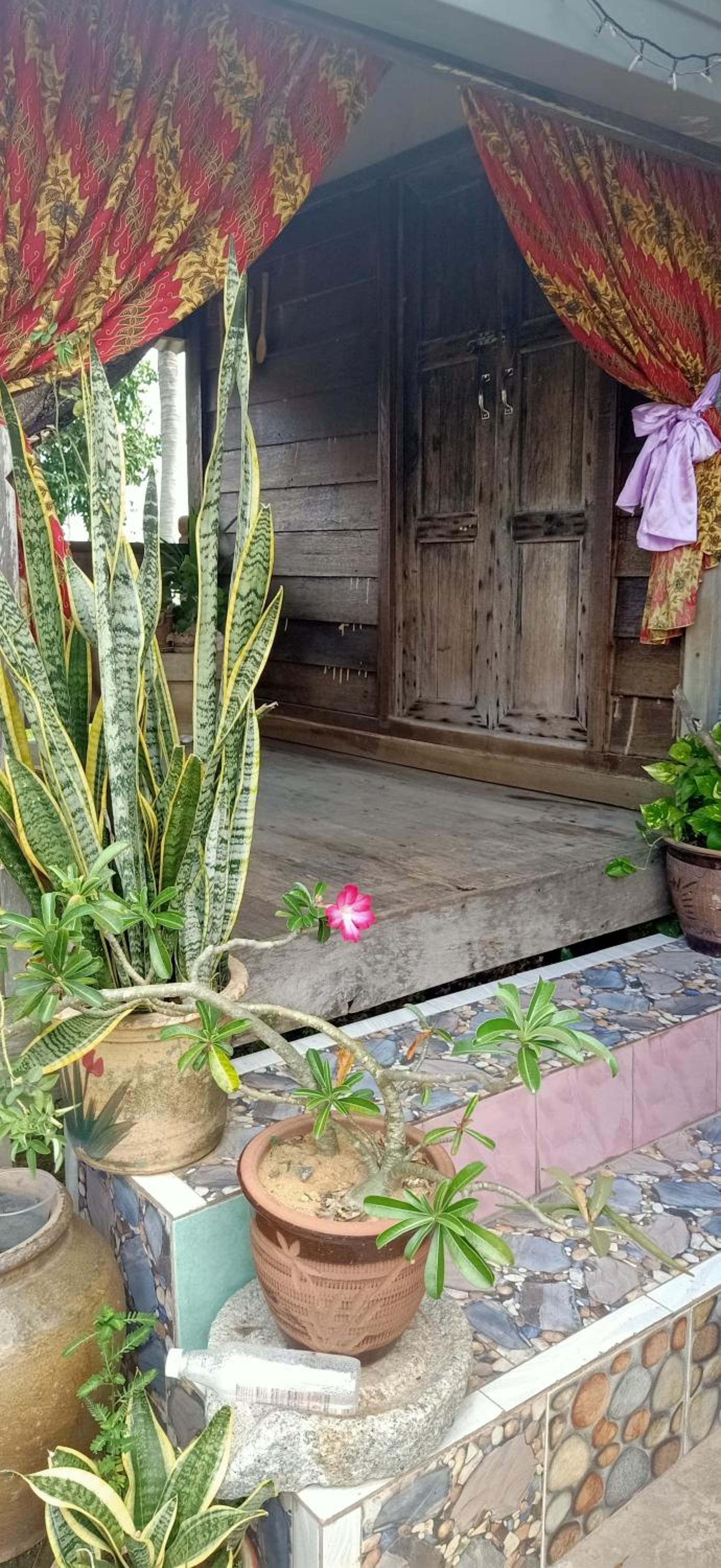 Homestay Damai Sri Kota view 4