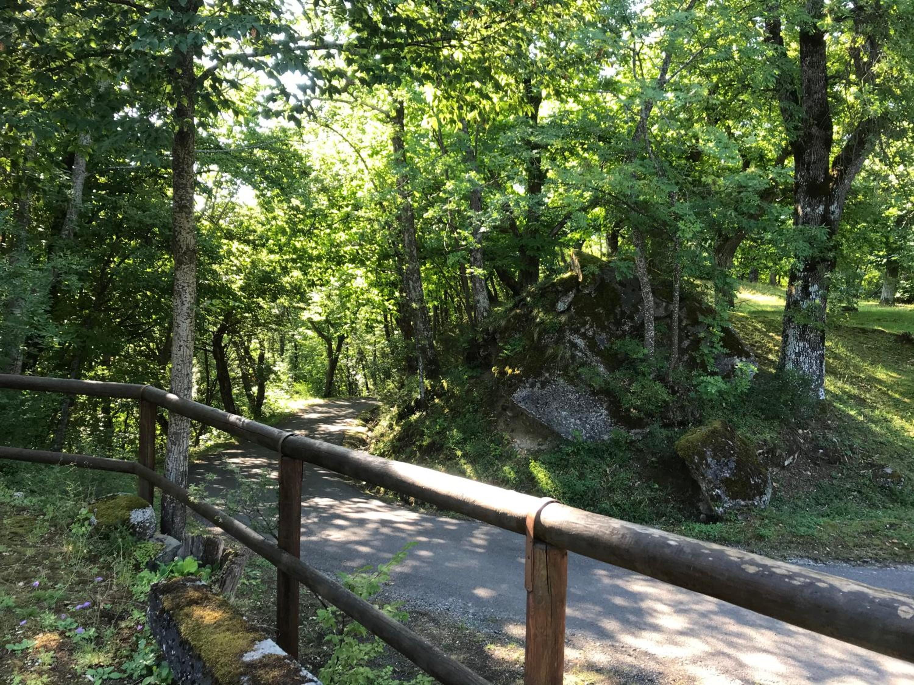 Photo 41