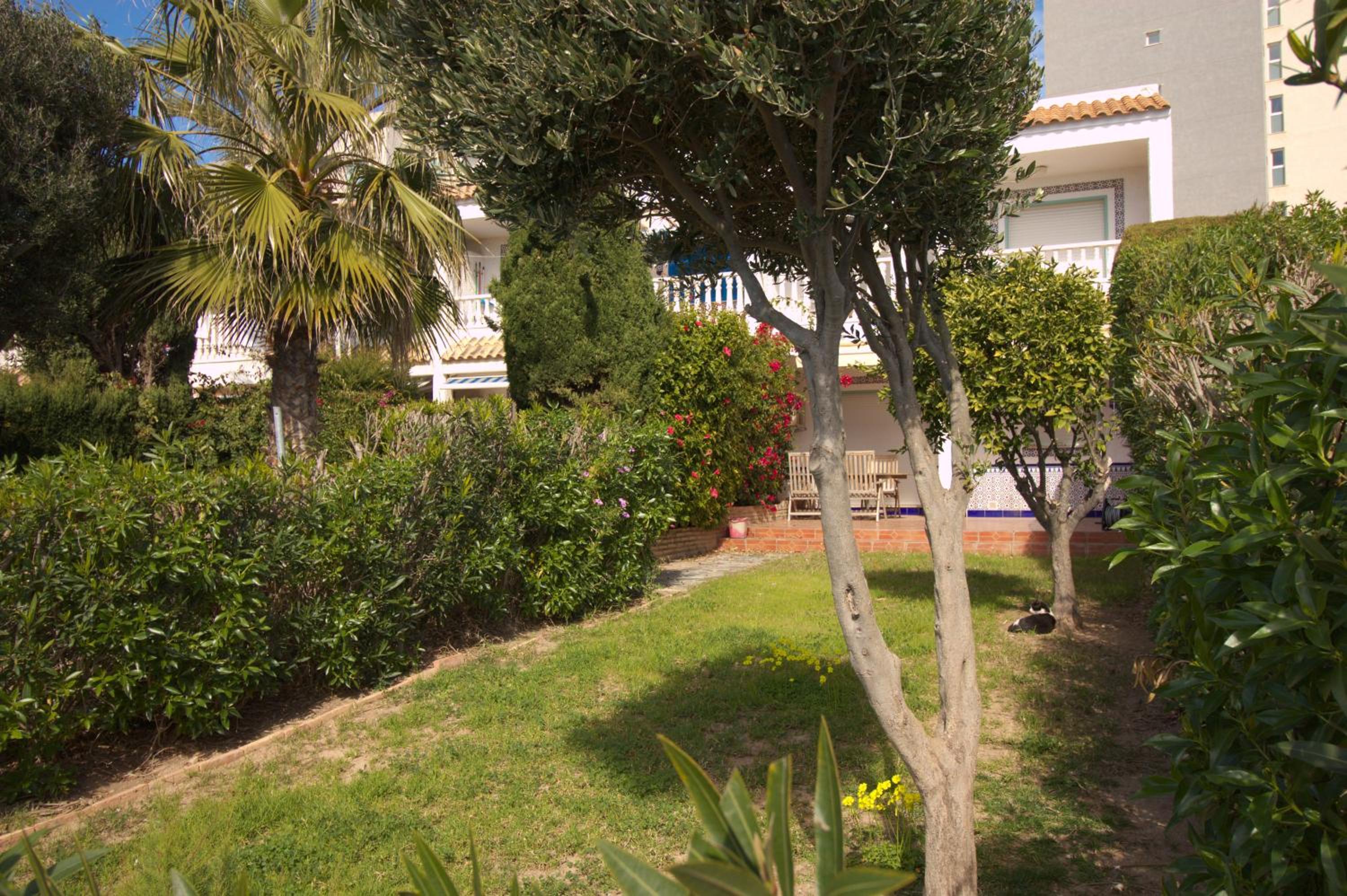 Photo 41
