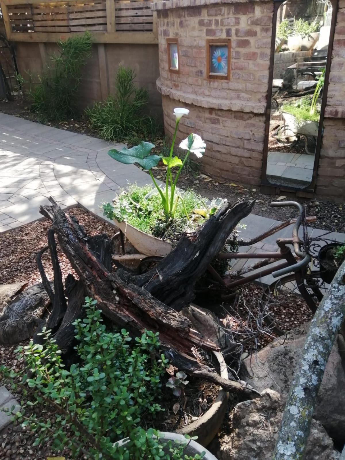 Zebrina Guest House