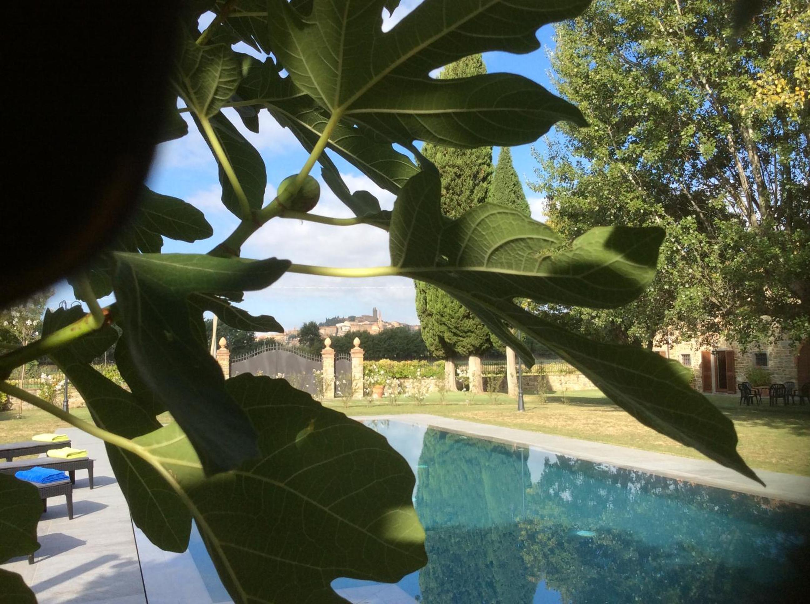 VILLA Podere IL GIARDINO view 5