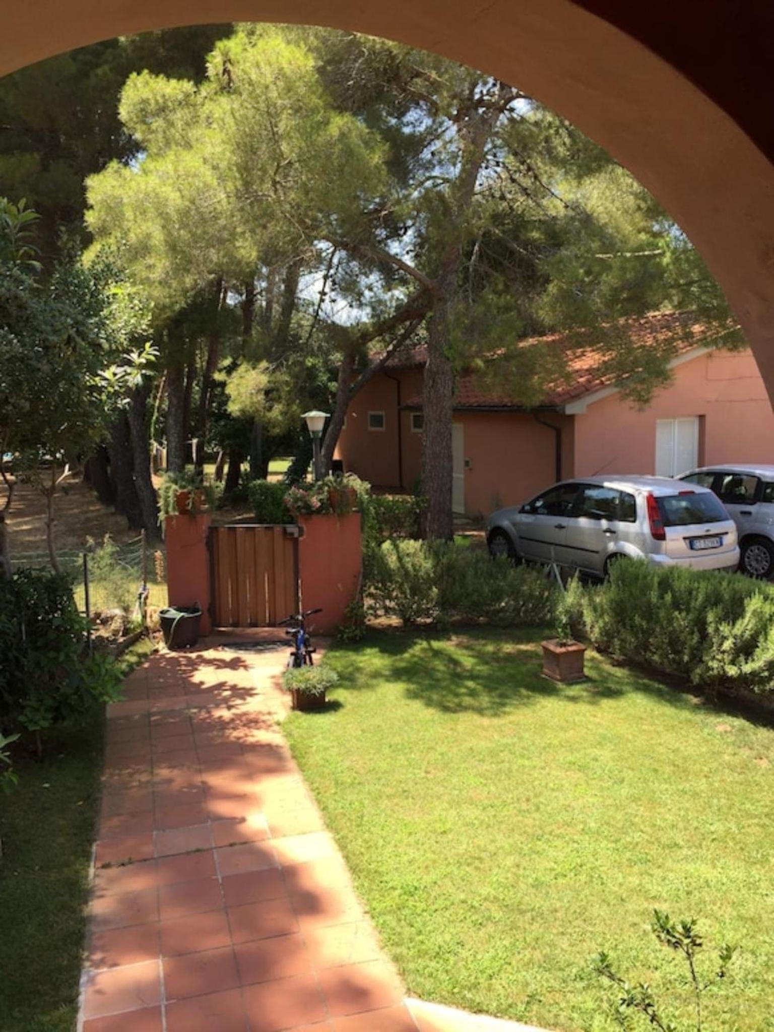 Photo 19