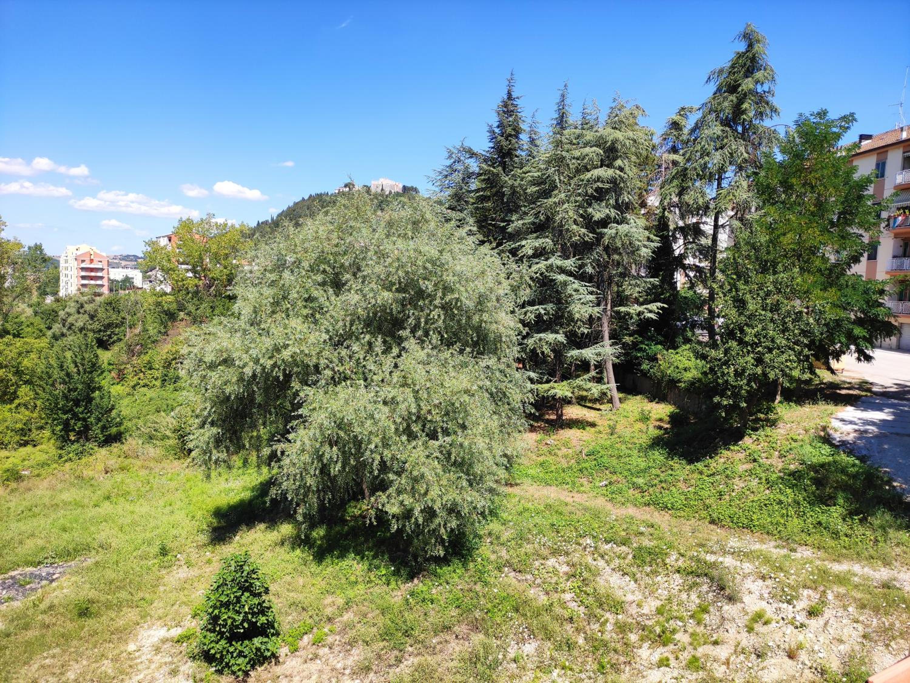 Villa Center appartamenti nel verde in città photo 4