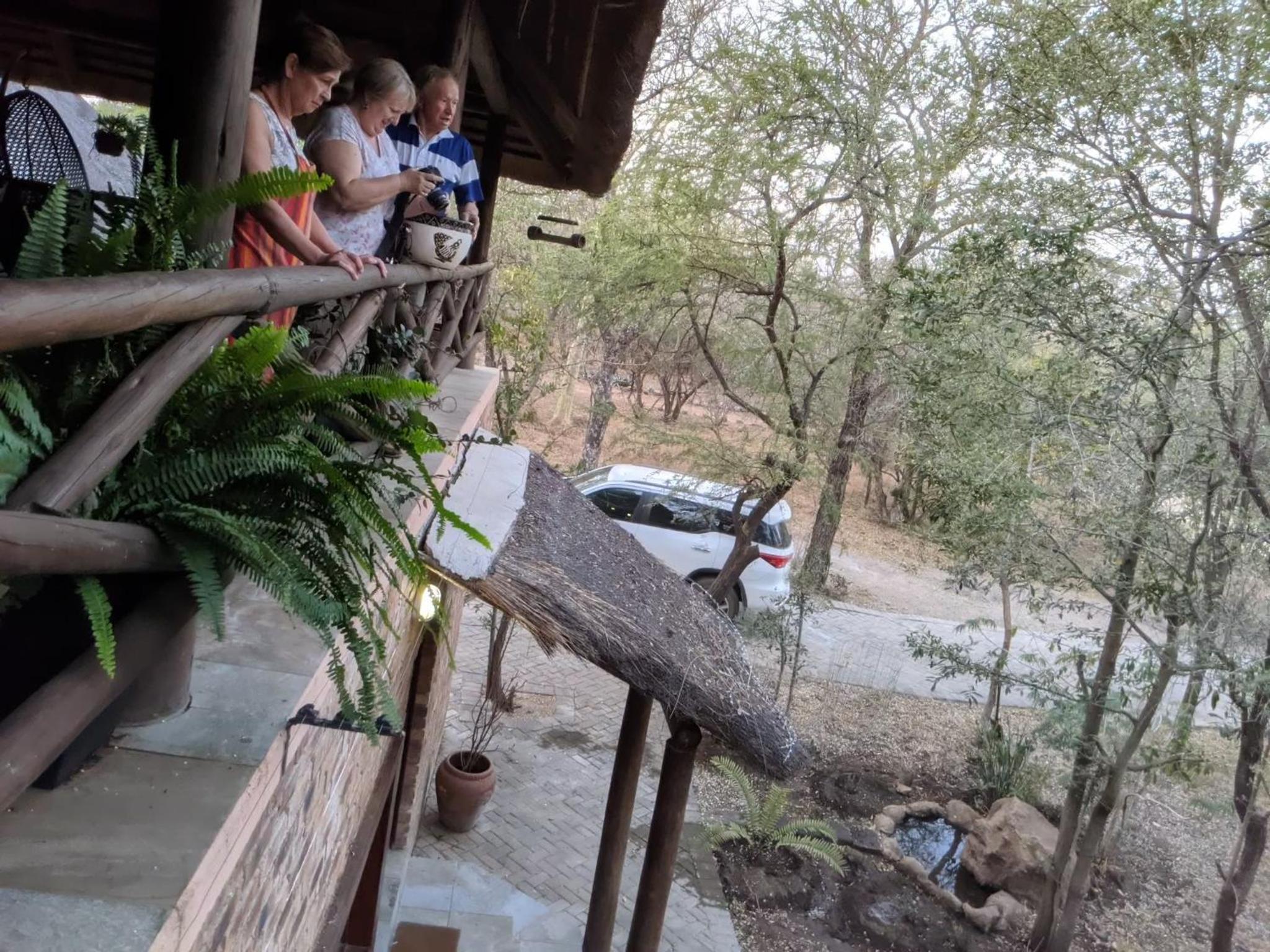 Hakuna Matata view 3