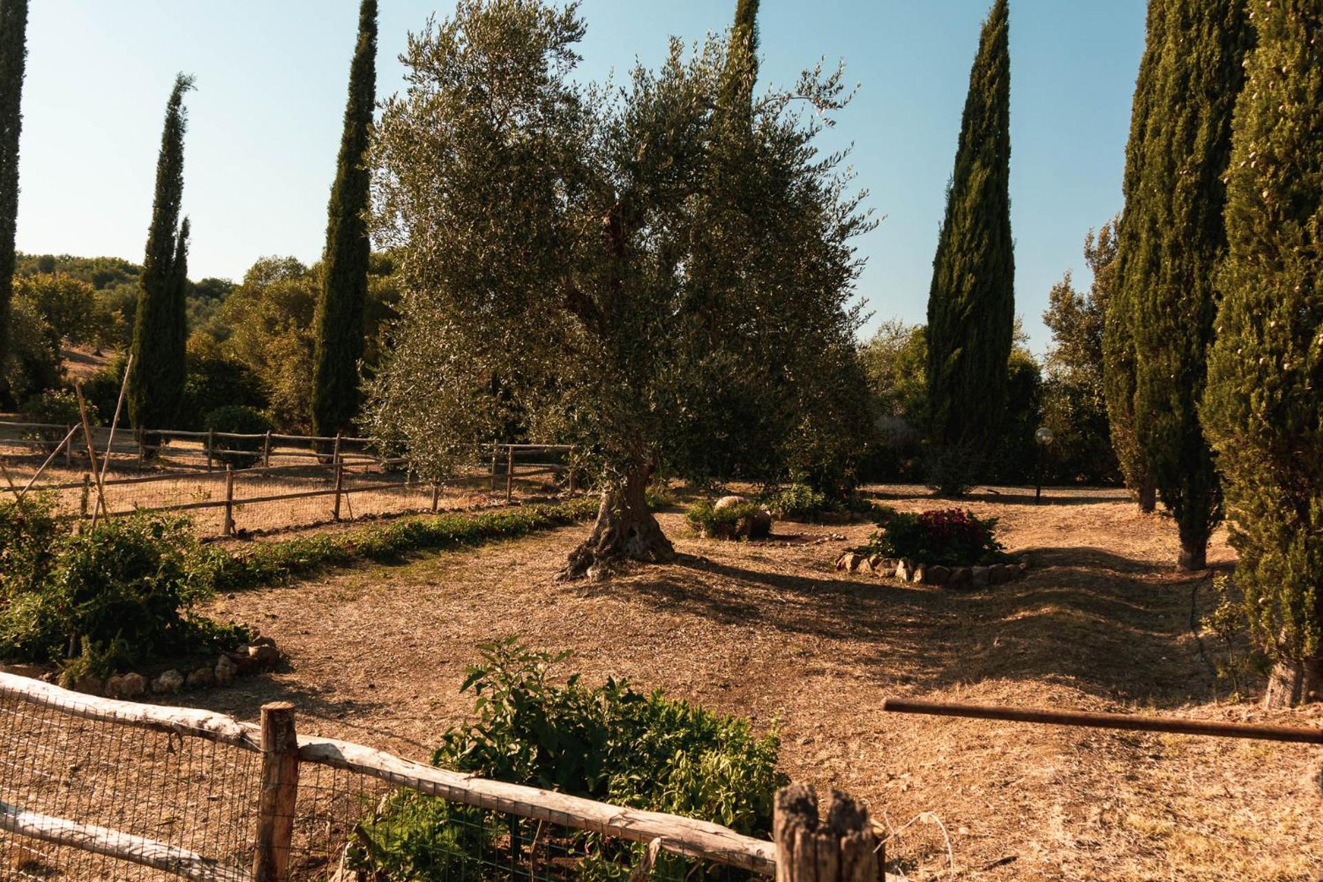 Agriturismo Il Marrucheto view 4
