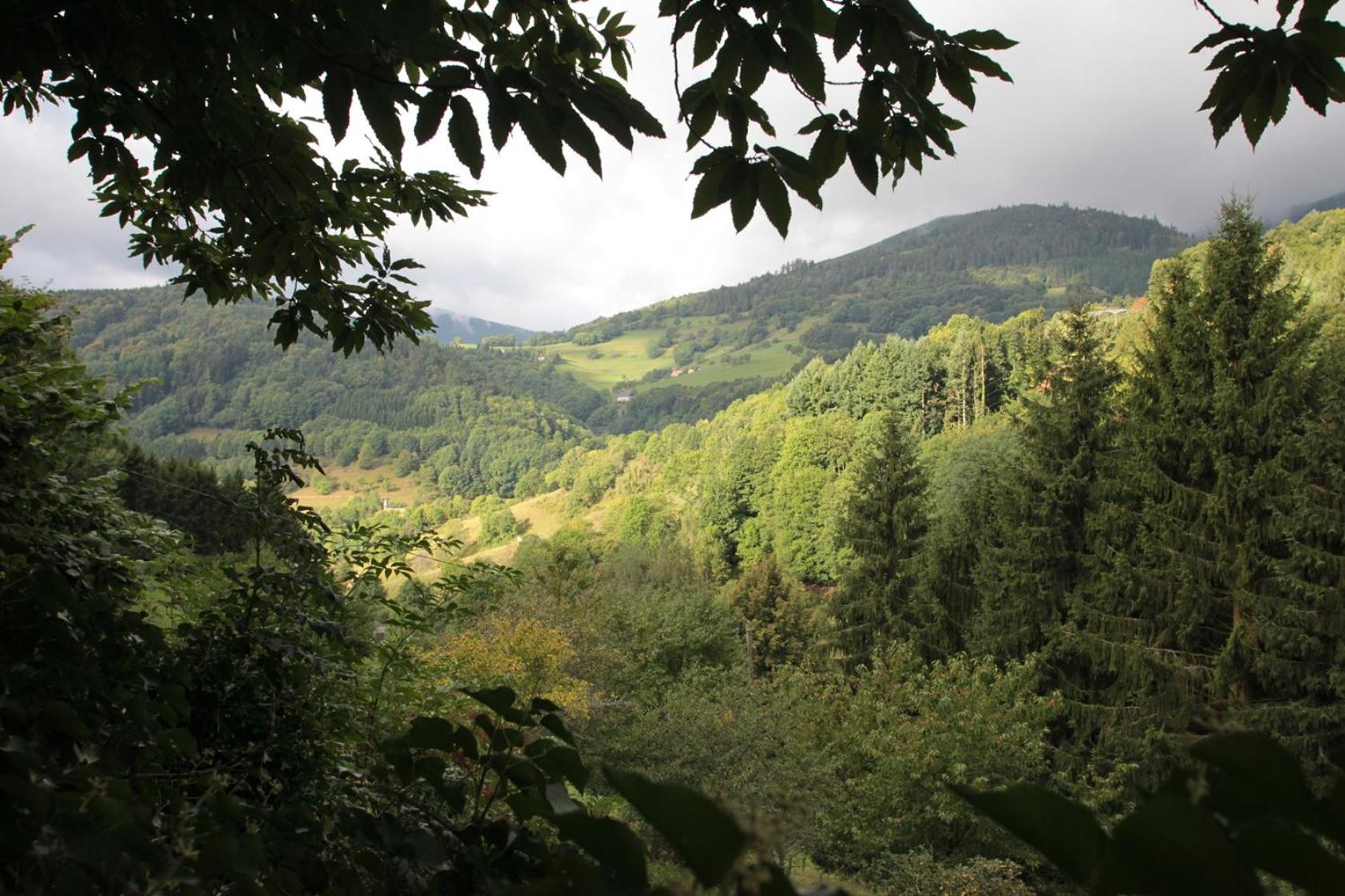 Photo 47