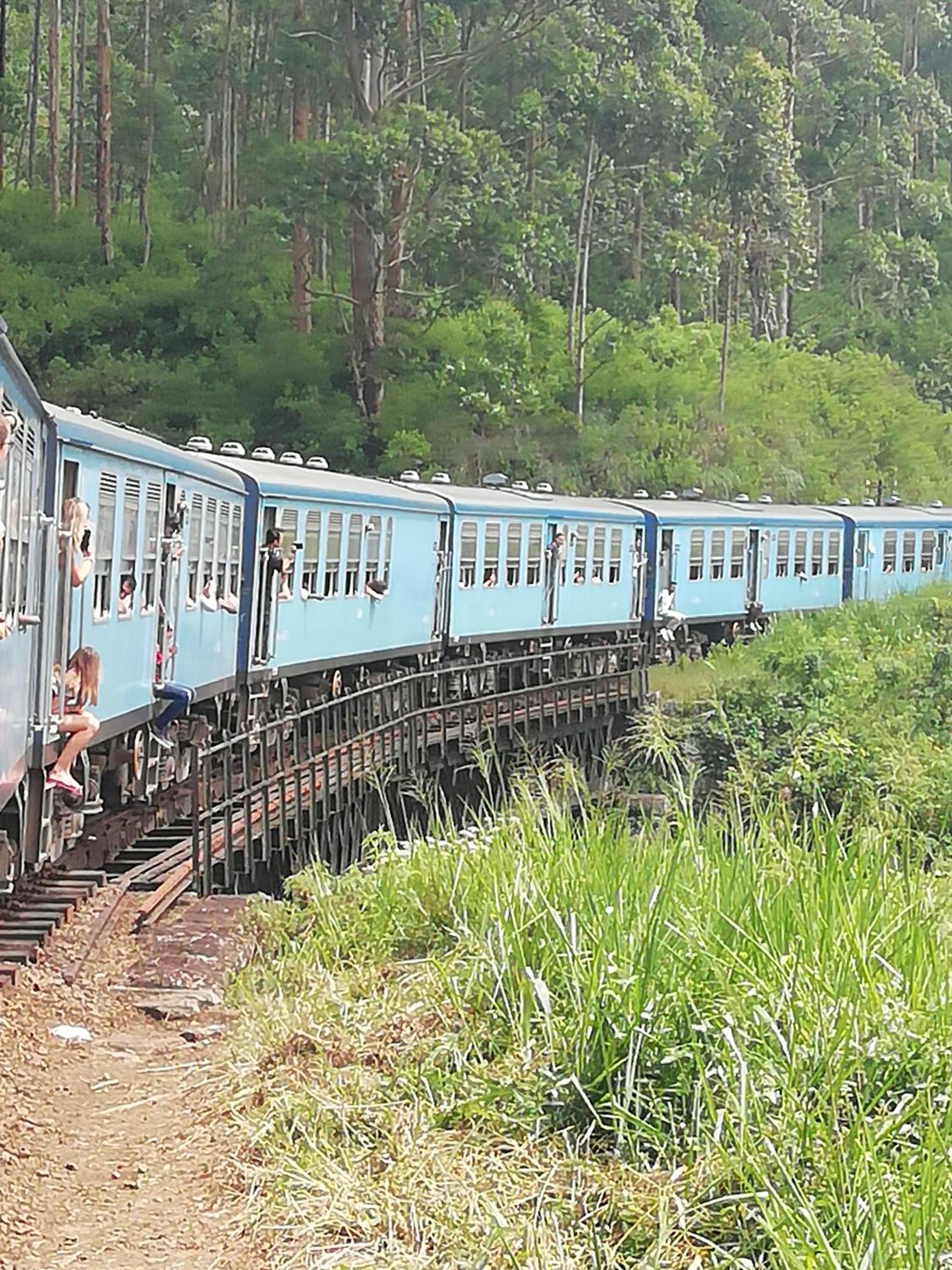 Tea Garden Diyatalawa