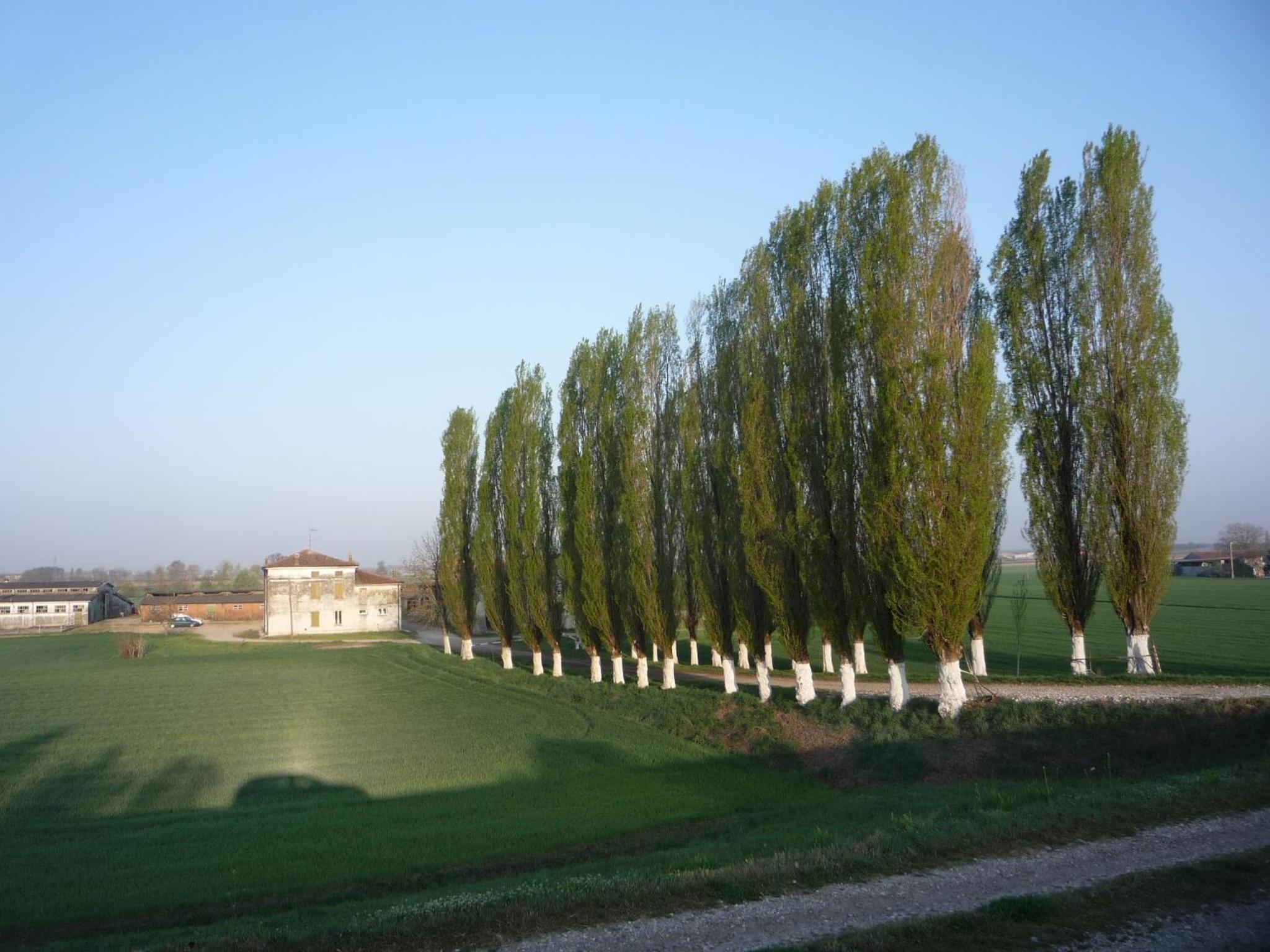 Terminus view 5