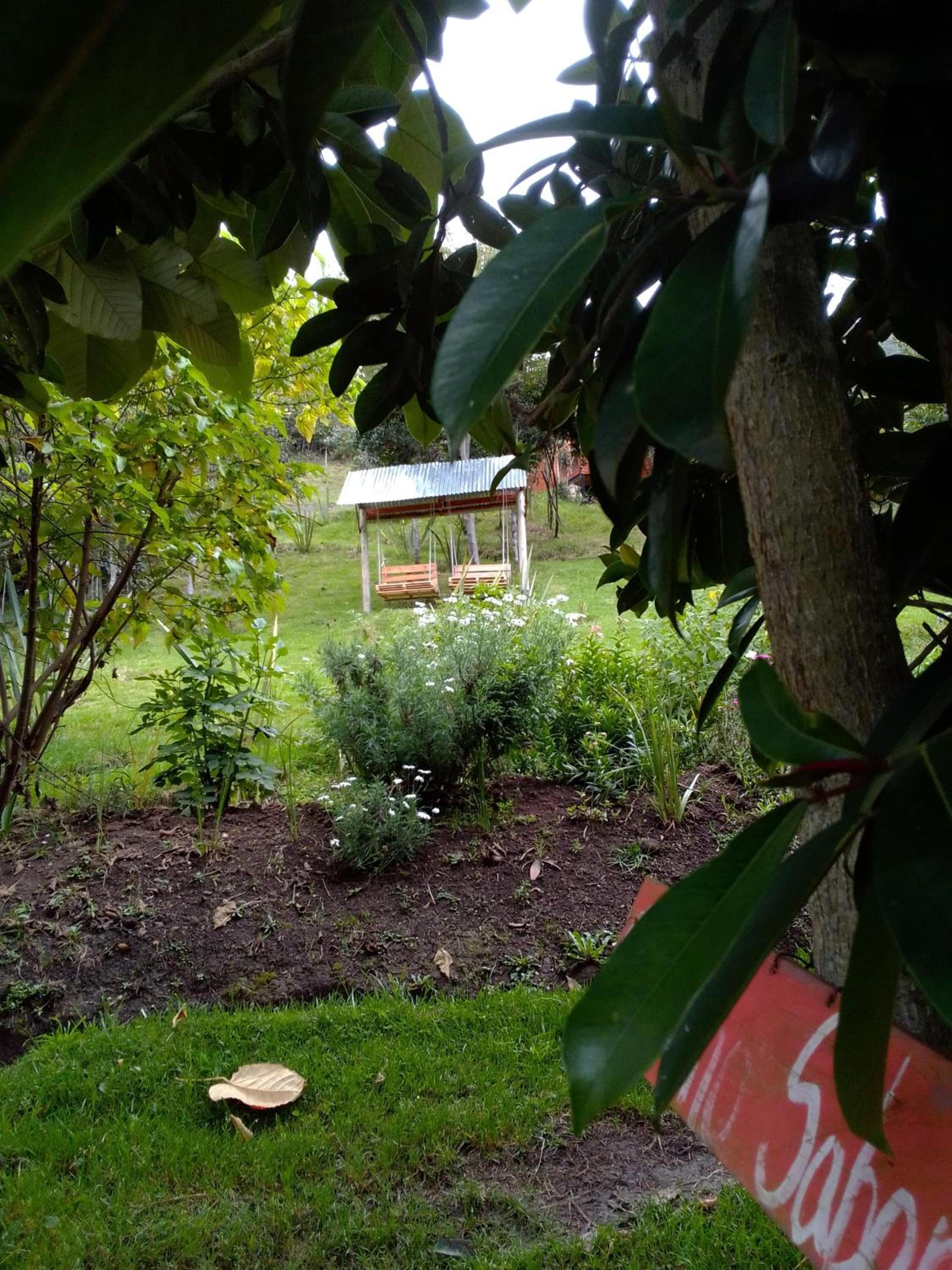 Photo 47