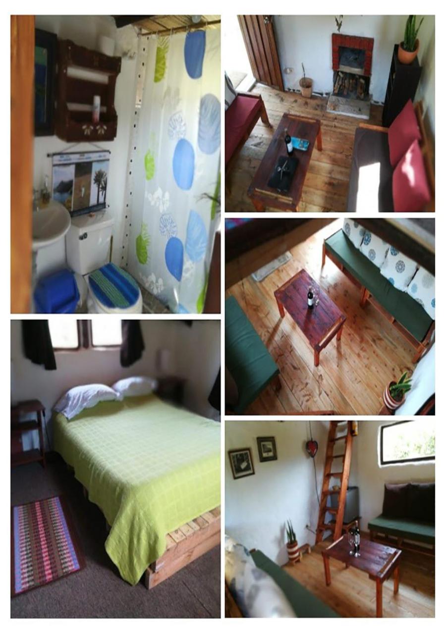 Photo 52