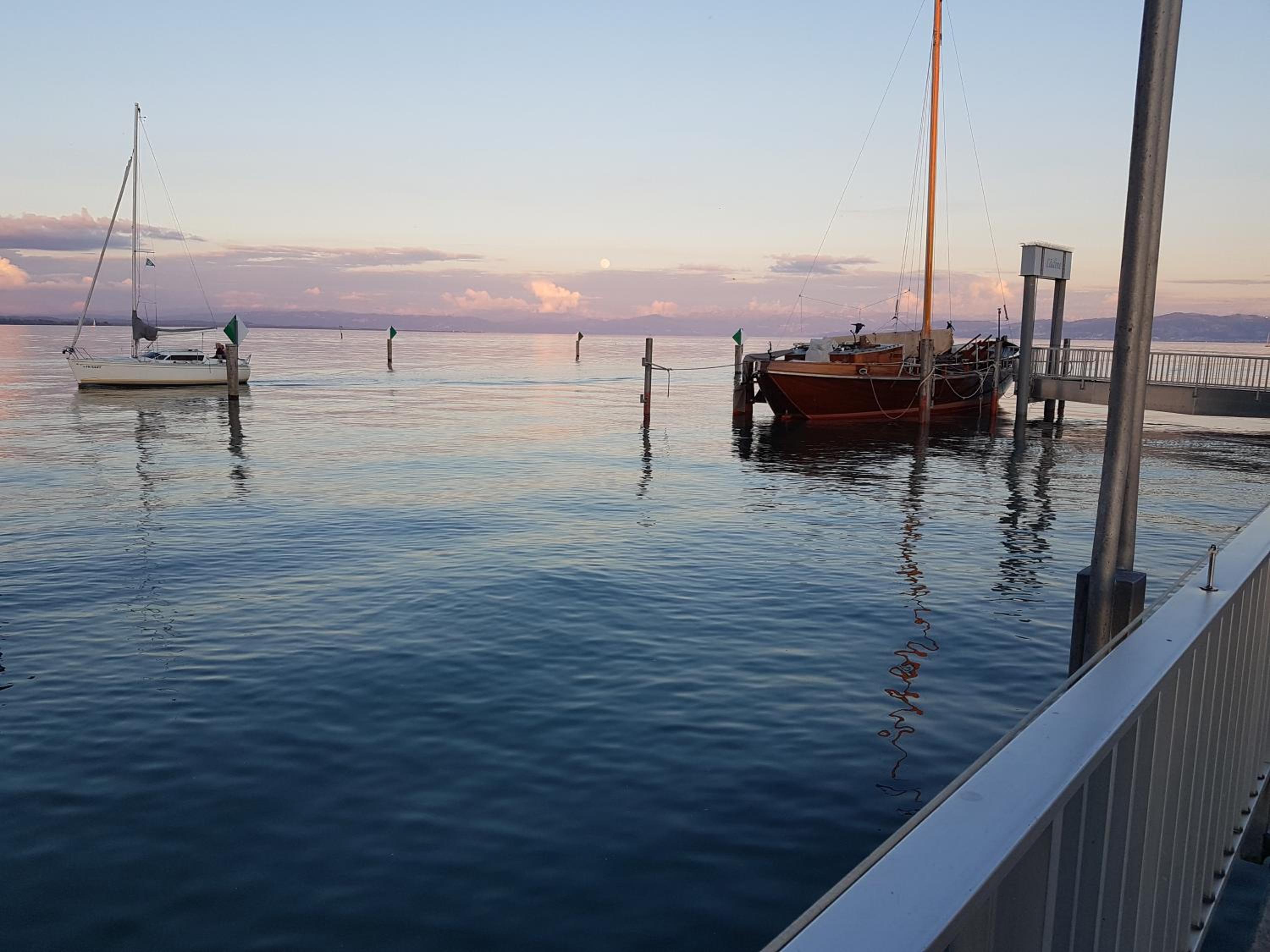 Malvelyns am Bodensee