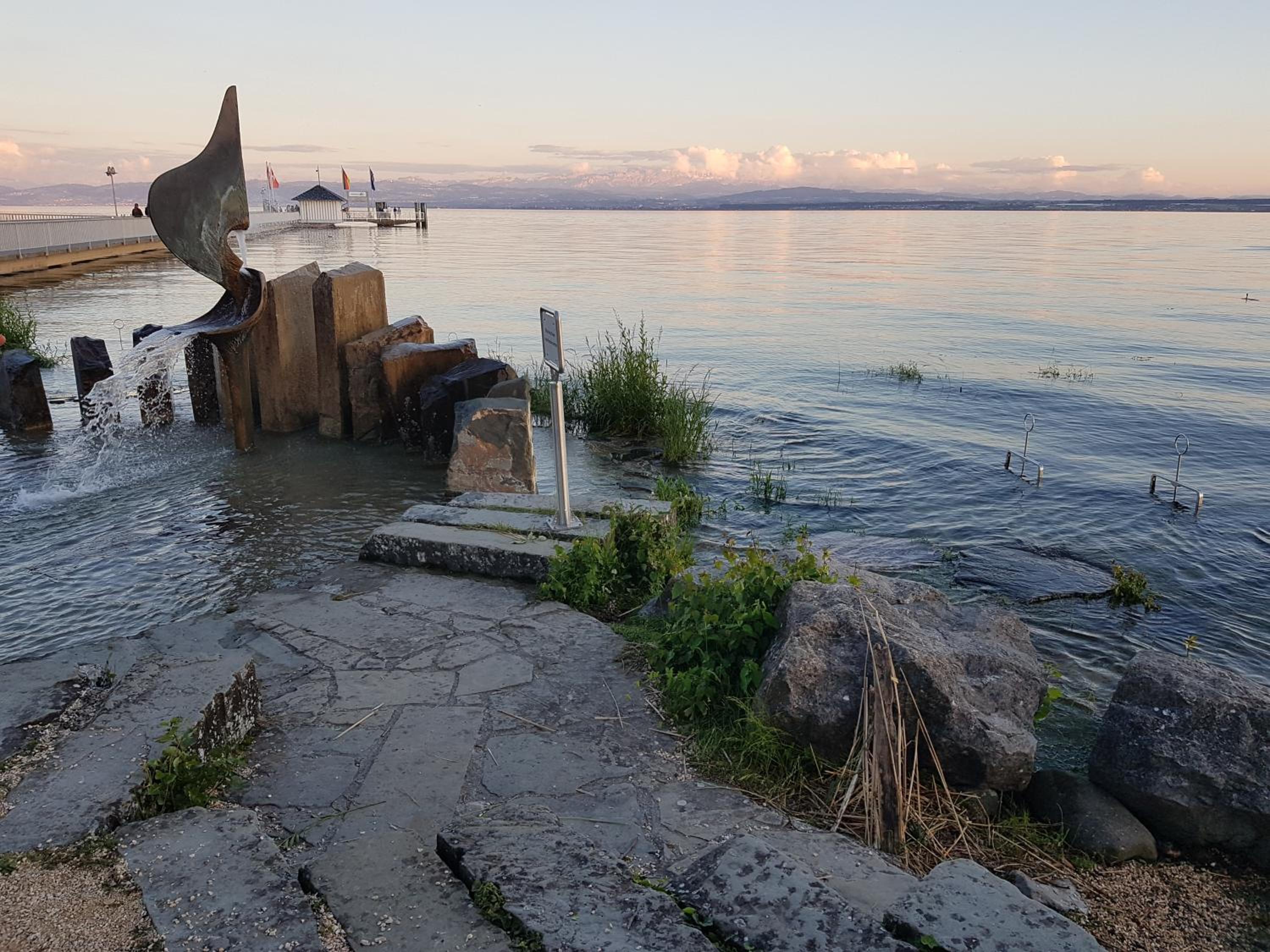 Malvelyns am Bodensee