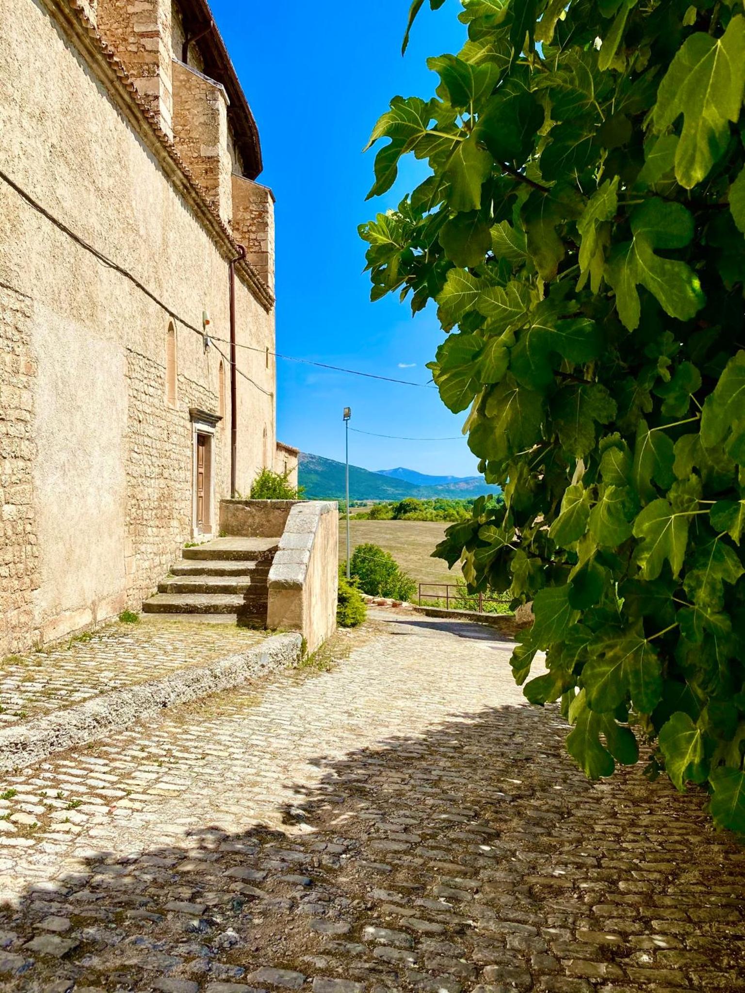 Visione via Peltuino 19 view 2