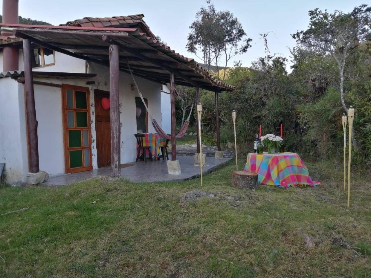 Jardin Colibri RNT 33633 view 5