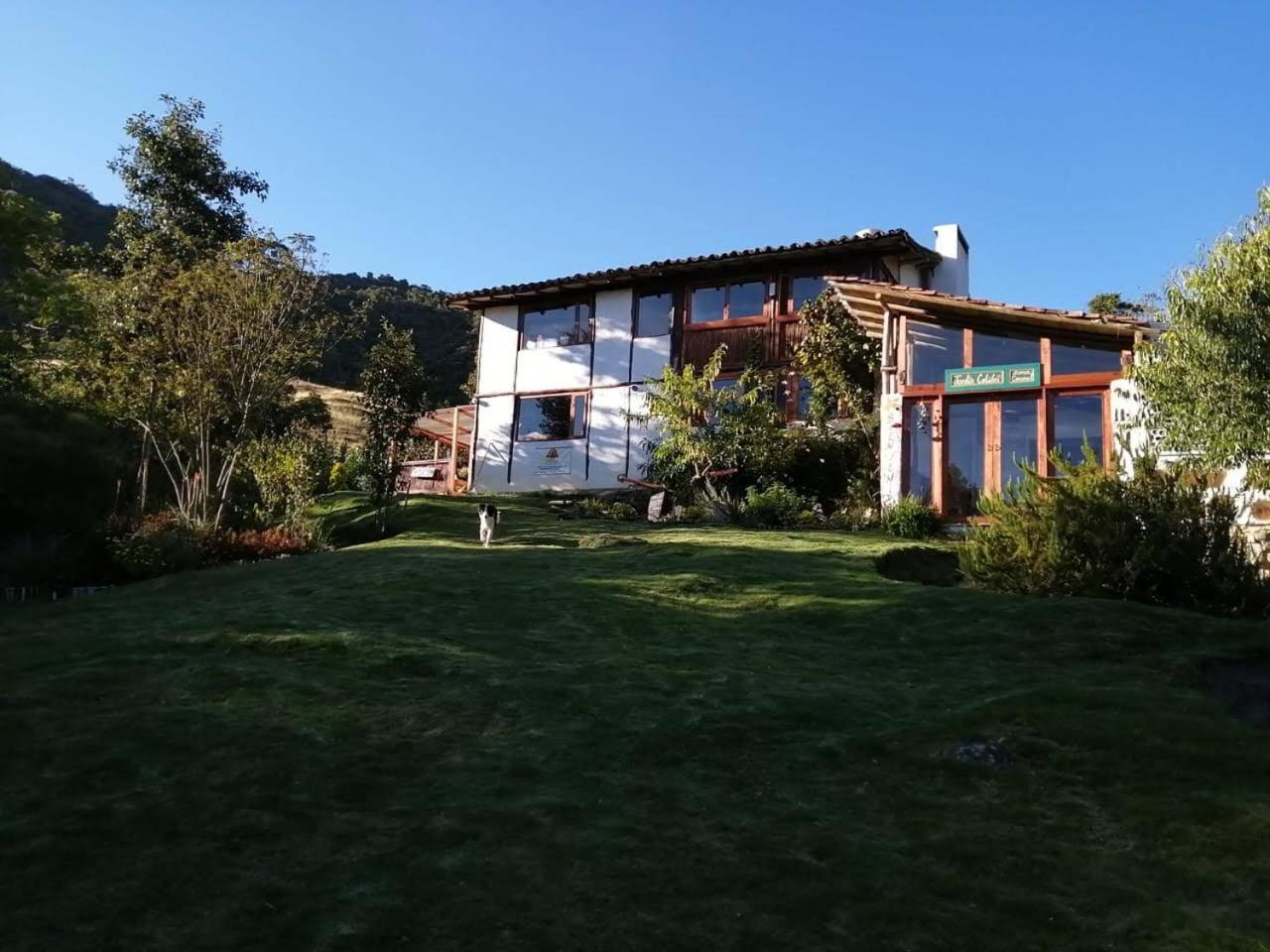 Jardin Colibri RNT 33633 view 4