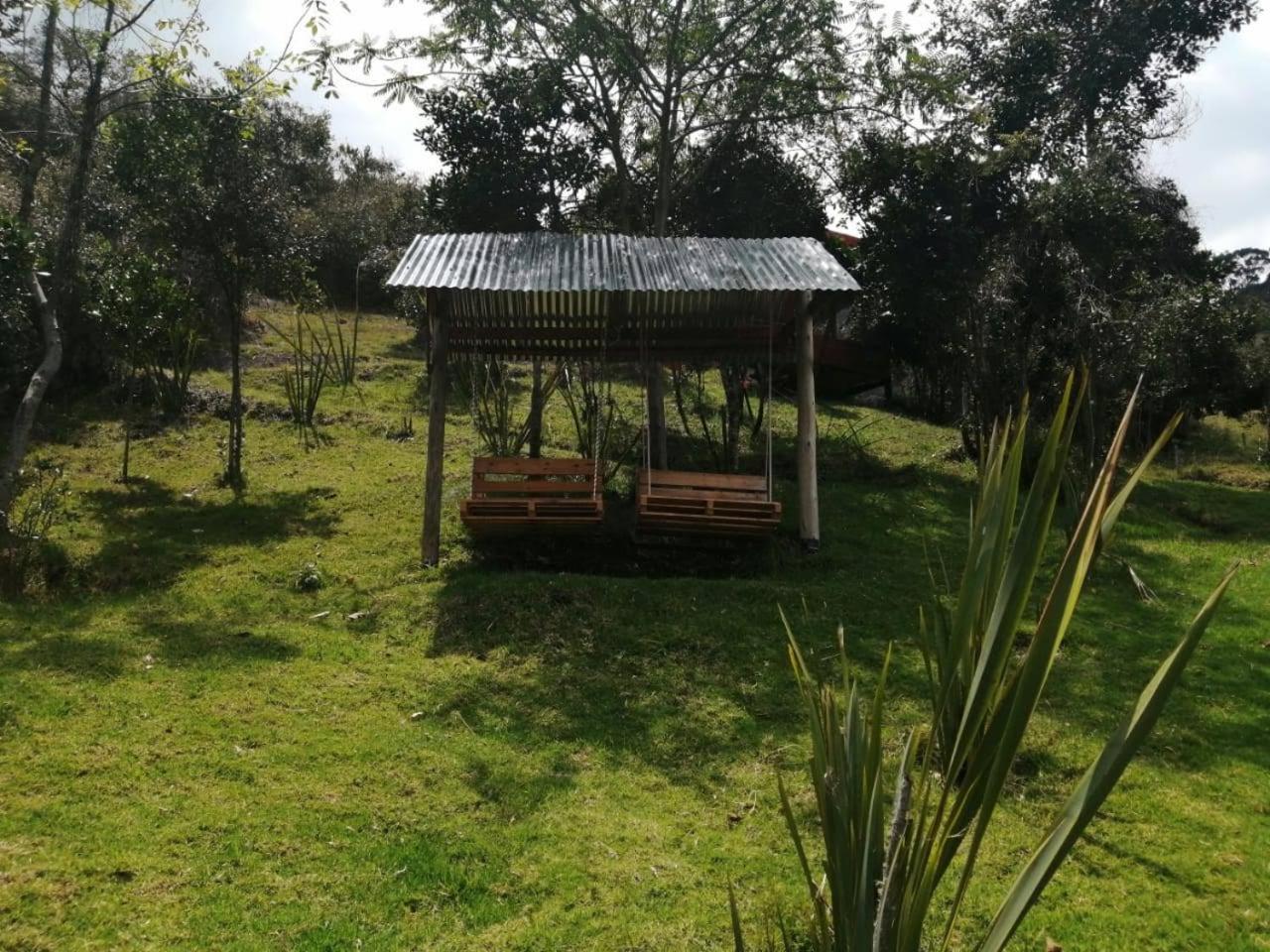 Photo 44