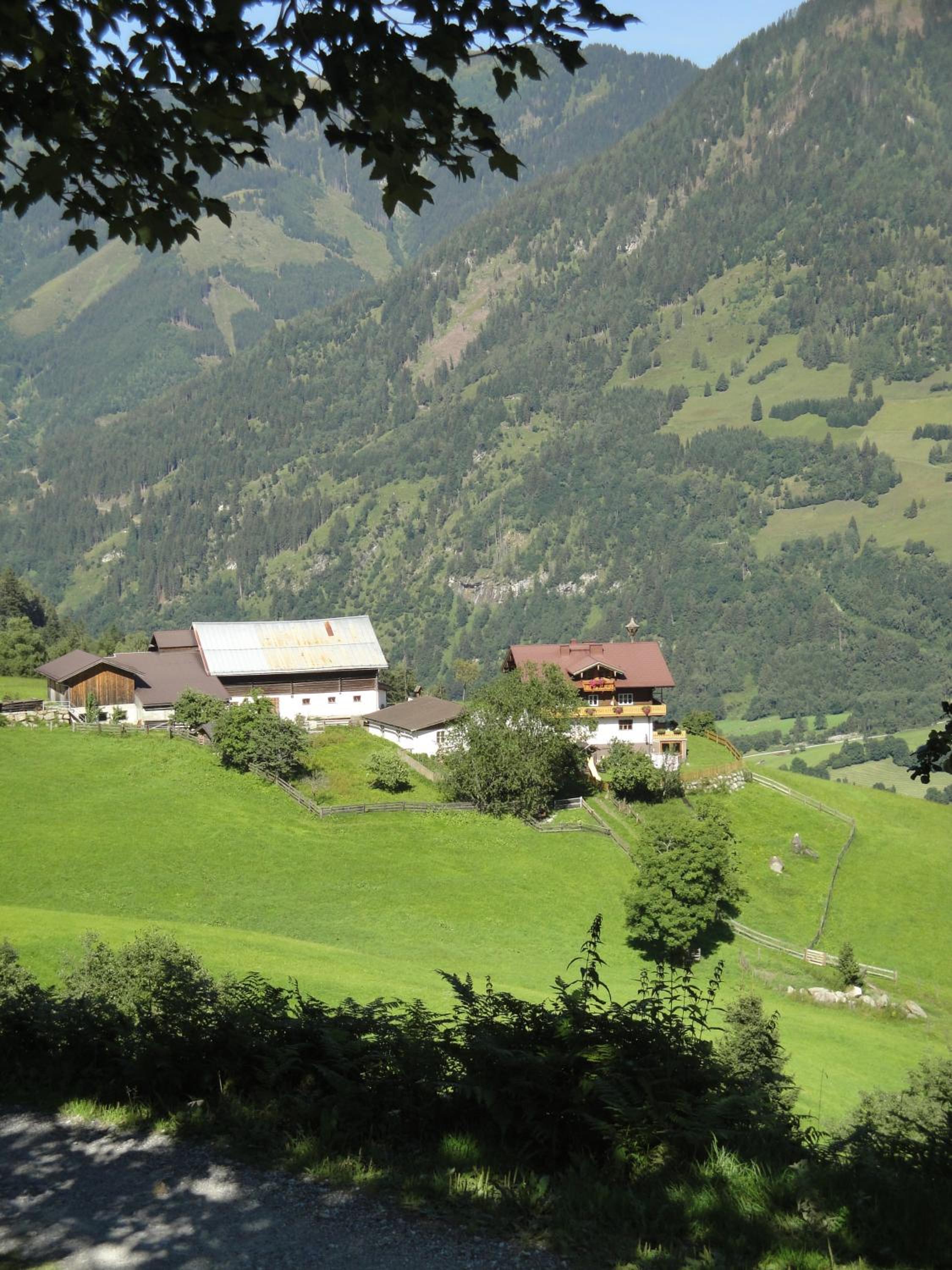 Brandebengut