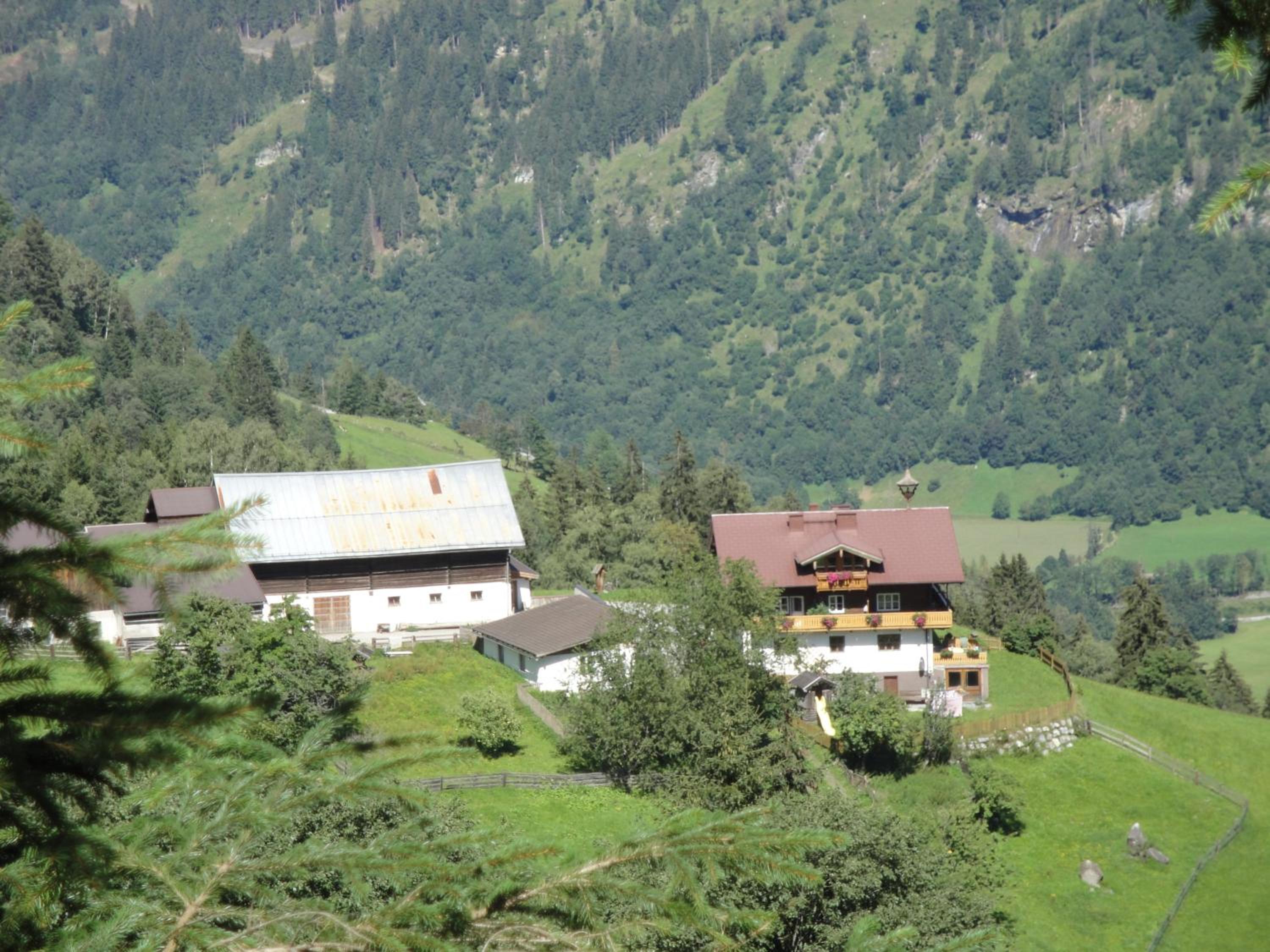 Brandebengut